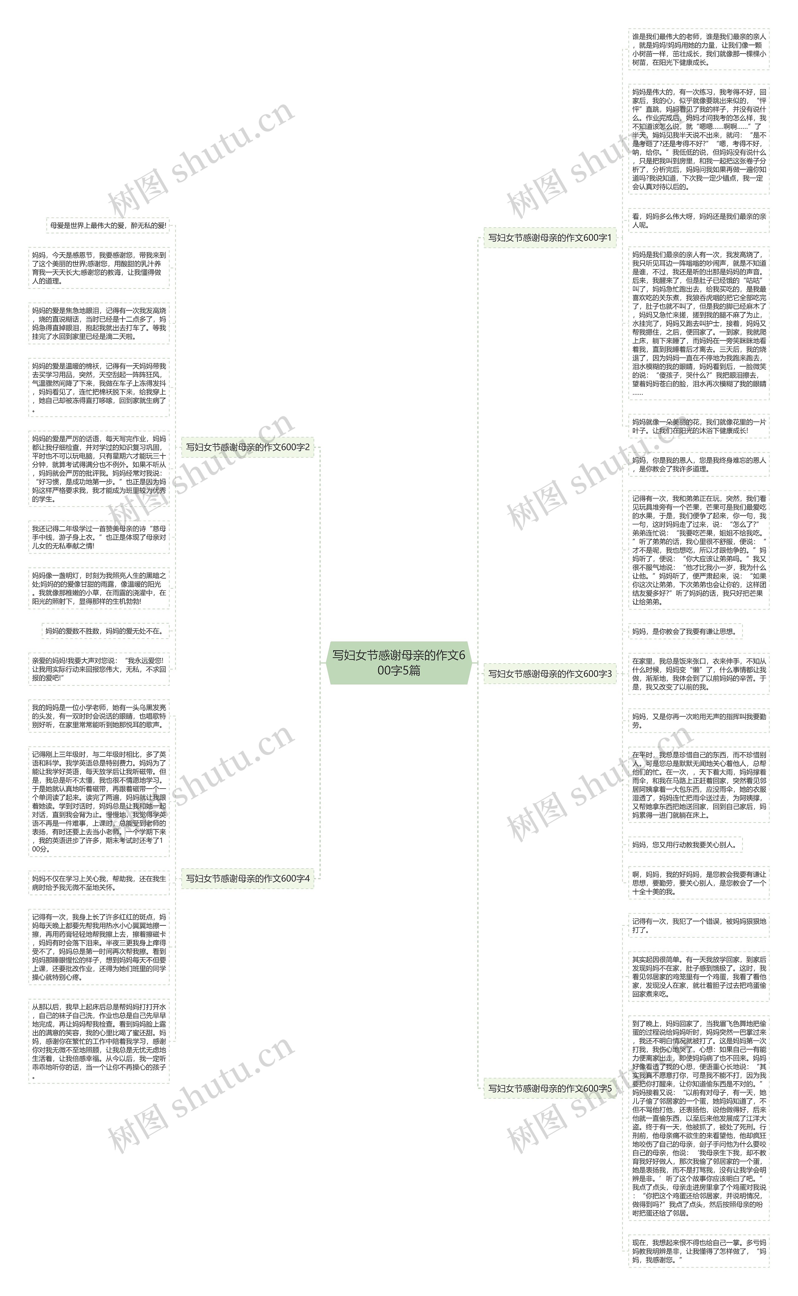 写妇女节感谢母亲的作文600字5篇思维导图