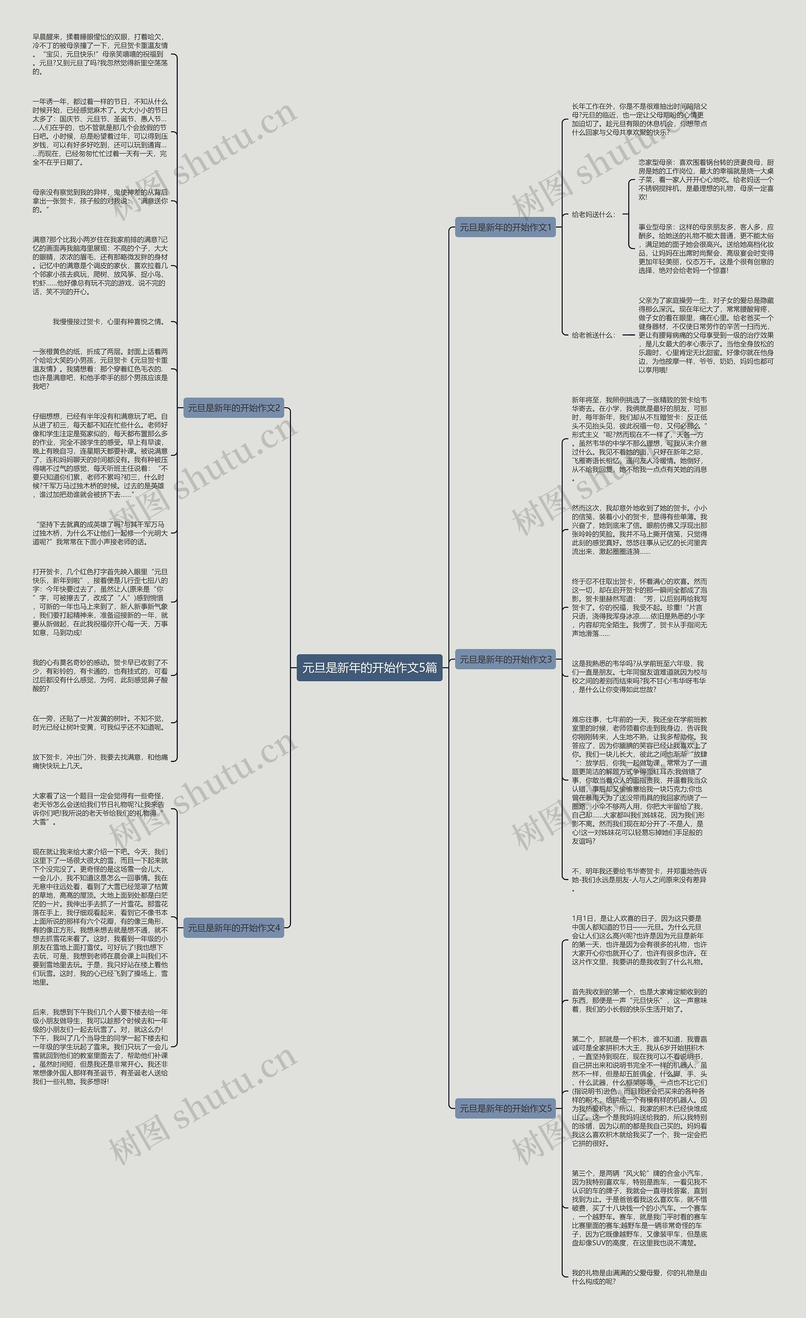 元旦是新年的开始作文5篇思维导图