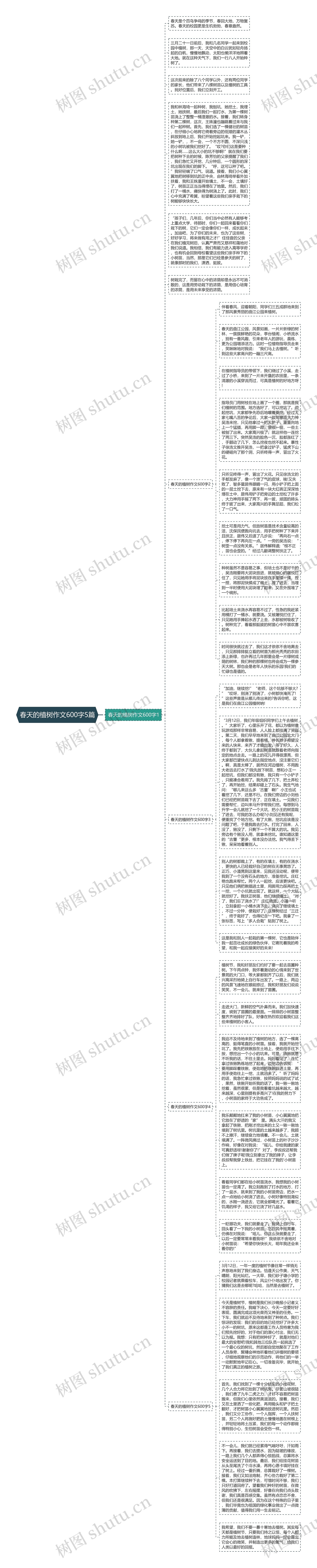 春天的植树作文600字5篇思维导图