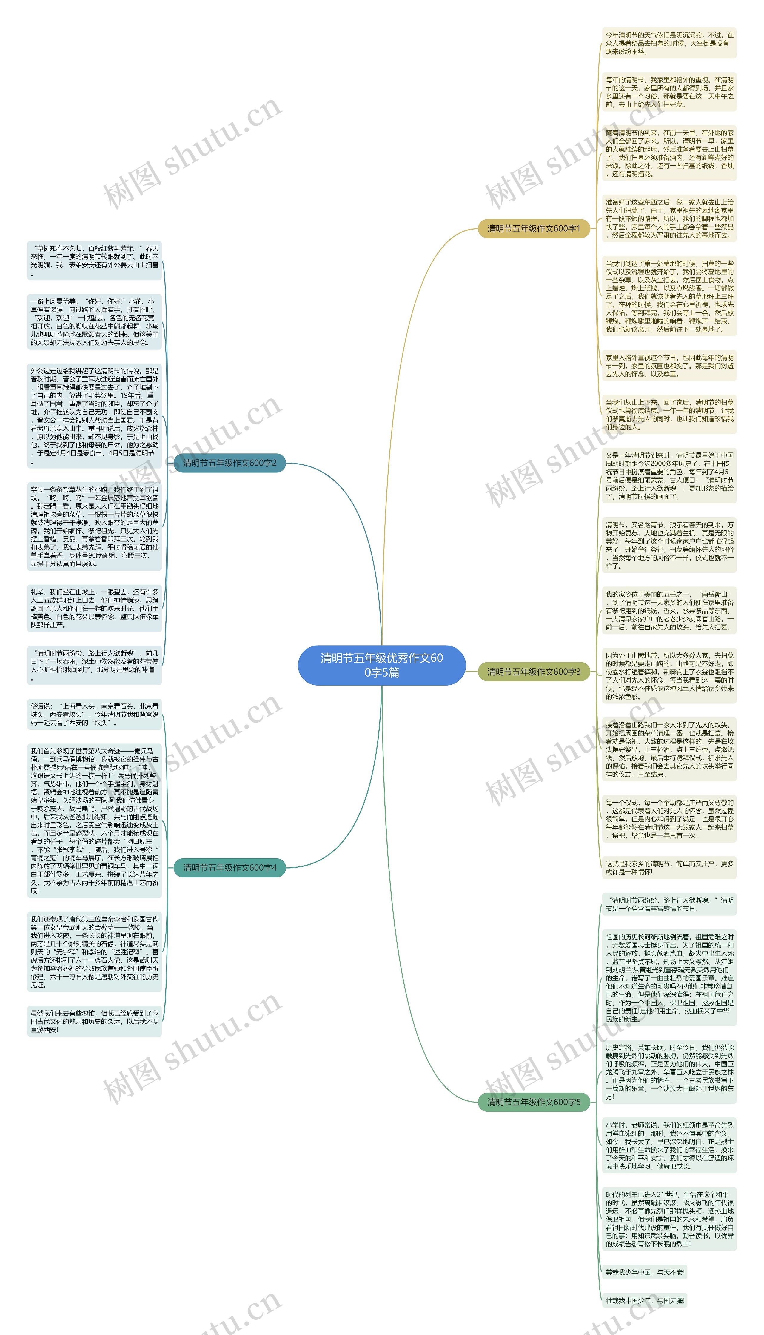清明节五年级优秀作文600字5篇思维导图