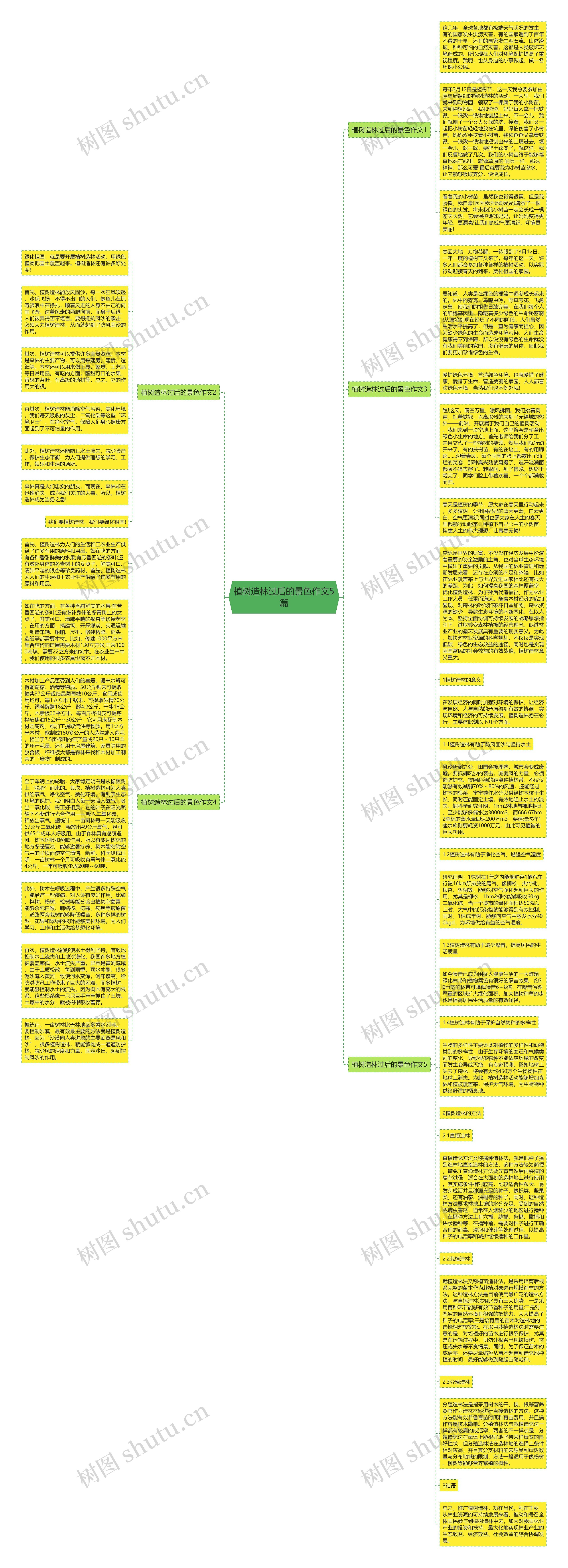 植树造林过后的景色作文5篇思维导图