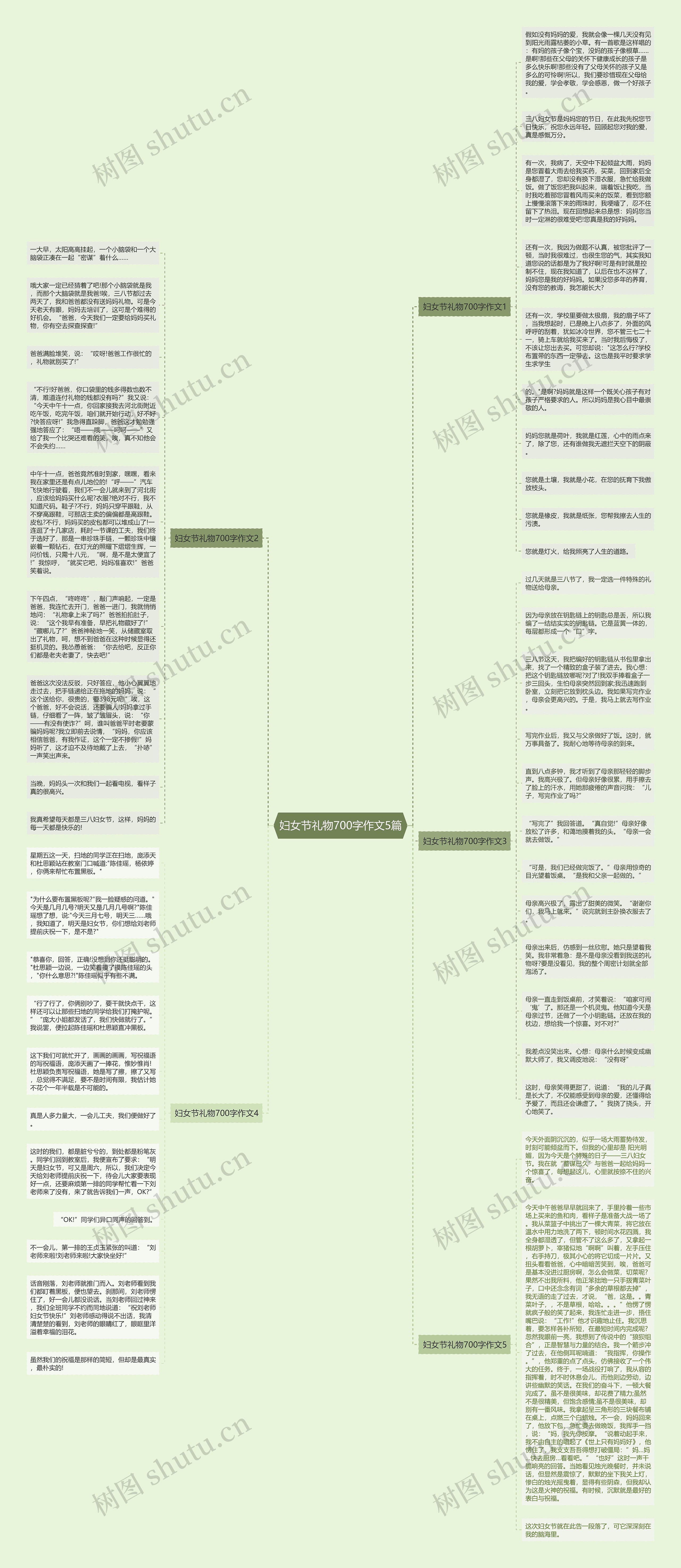 妇女节礼物700字作文5篇思维导图