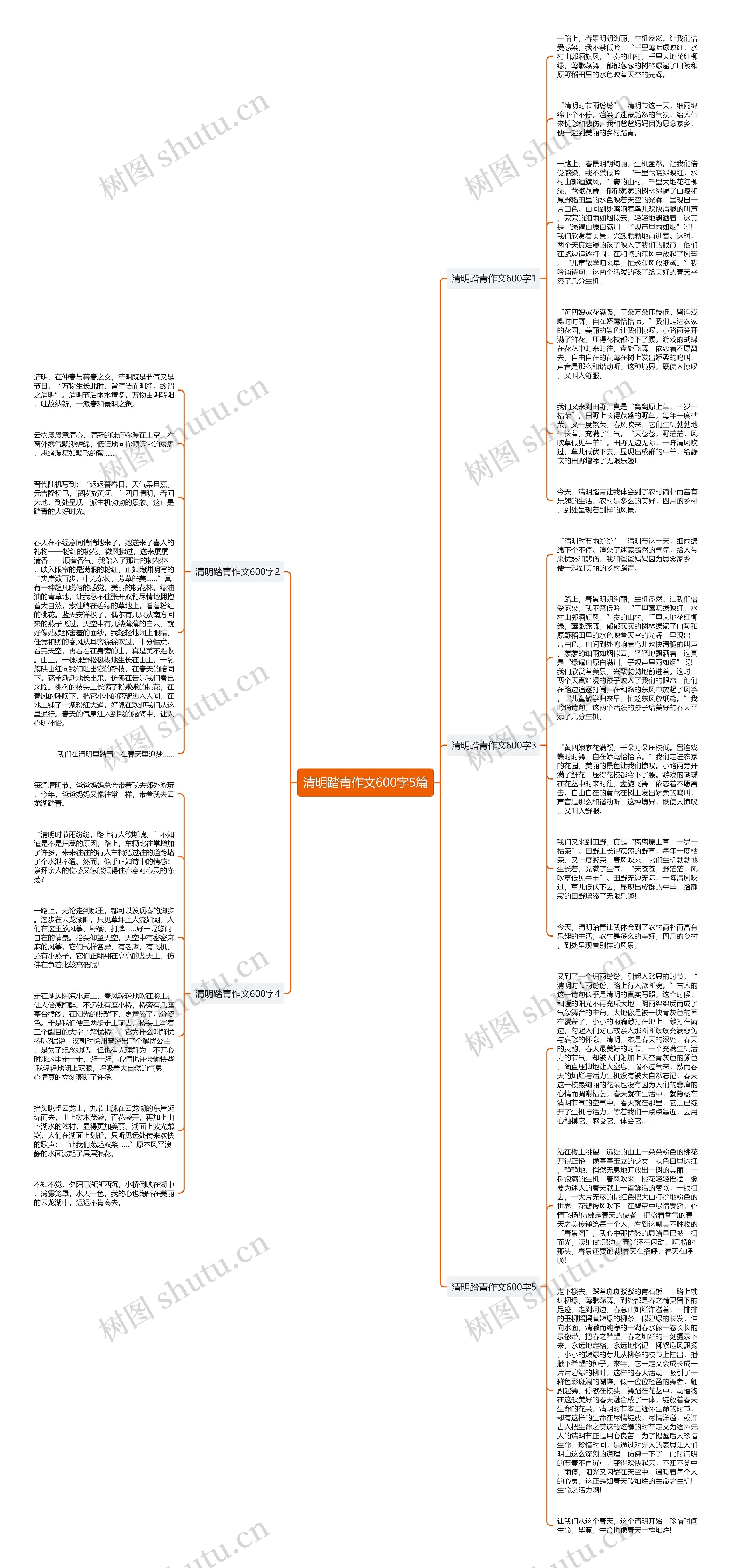 清明踏青作文600字5篇思维导图