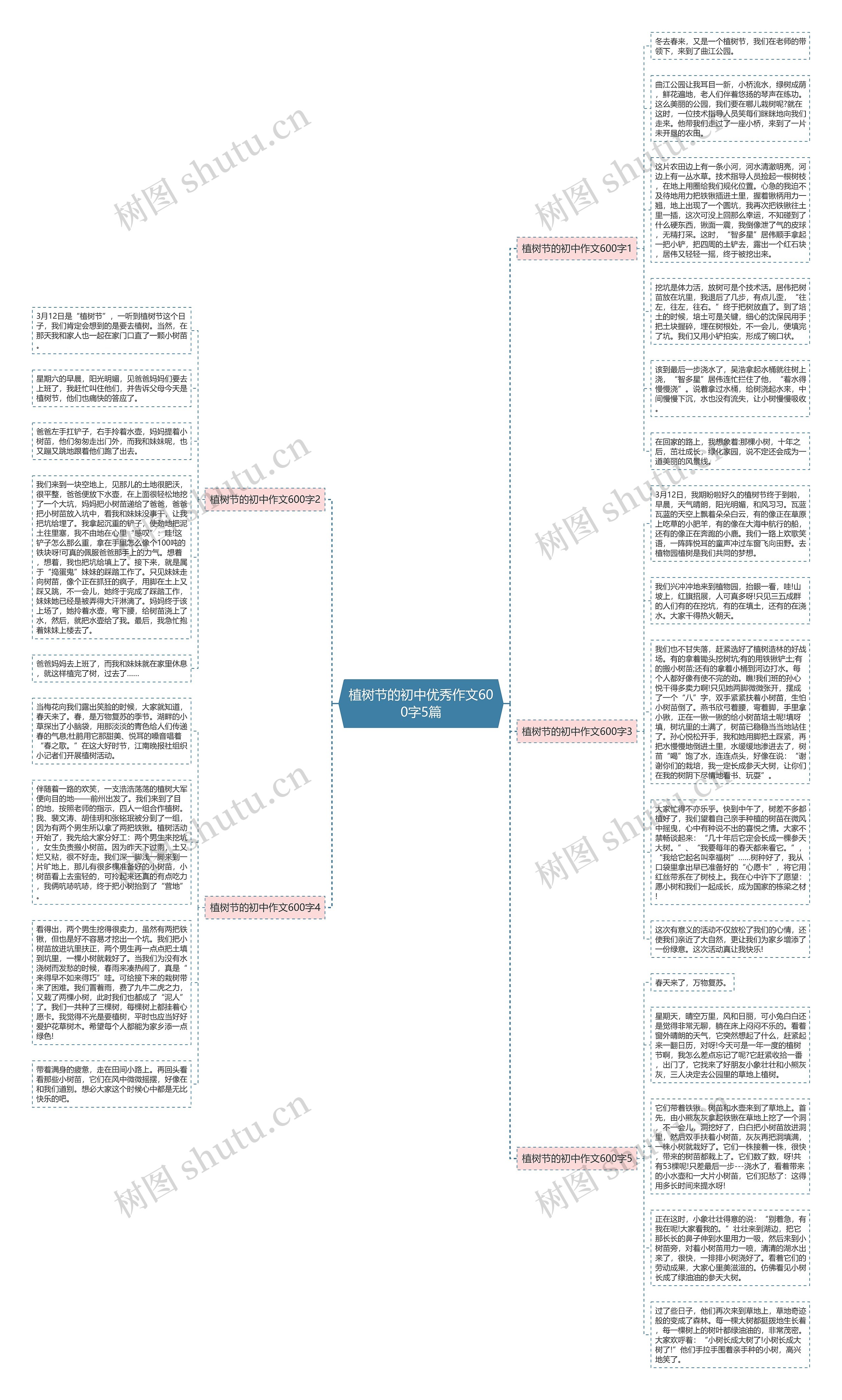 植树节的初中优秀作文600字5篇思维导图