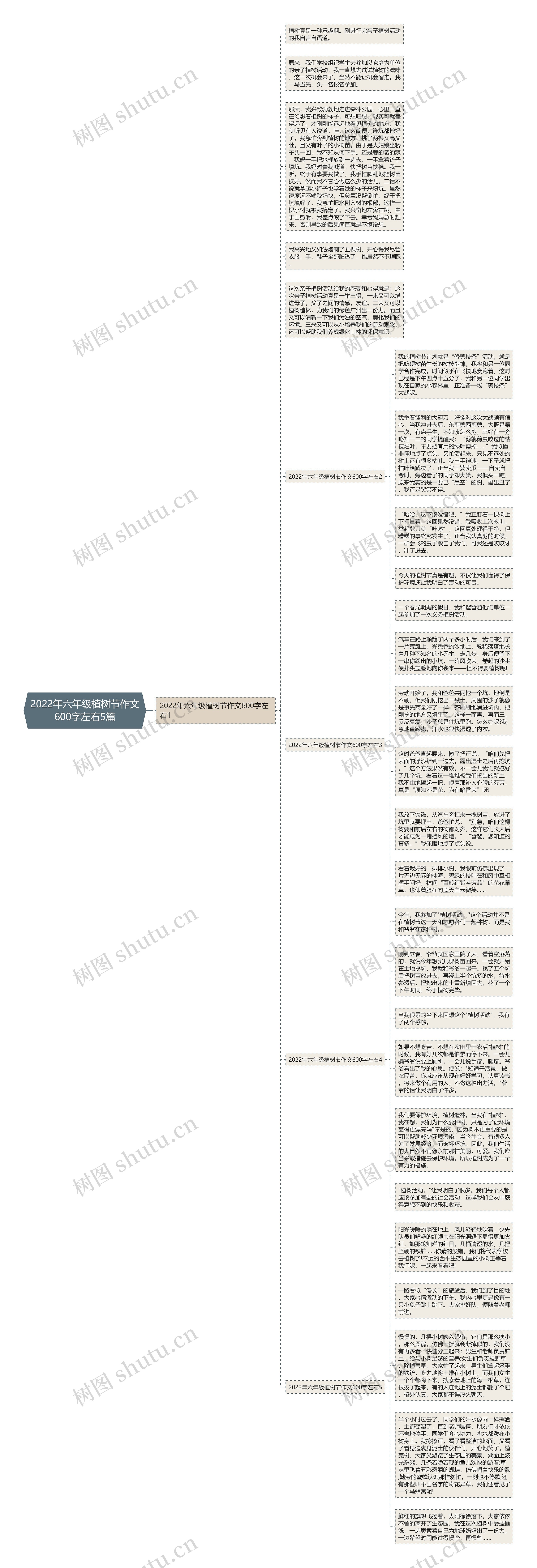 2022年六年级植树节作文600字左右5篇思维导图
