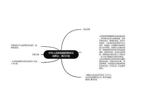 中华人民共和国刑事诉讼法释义：第222条