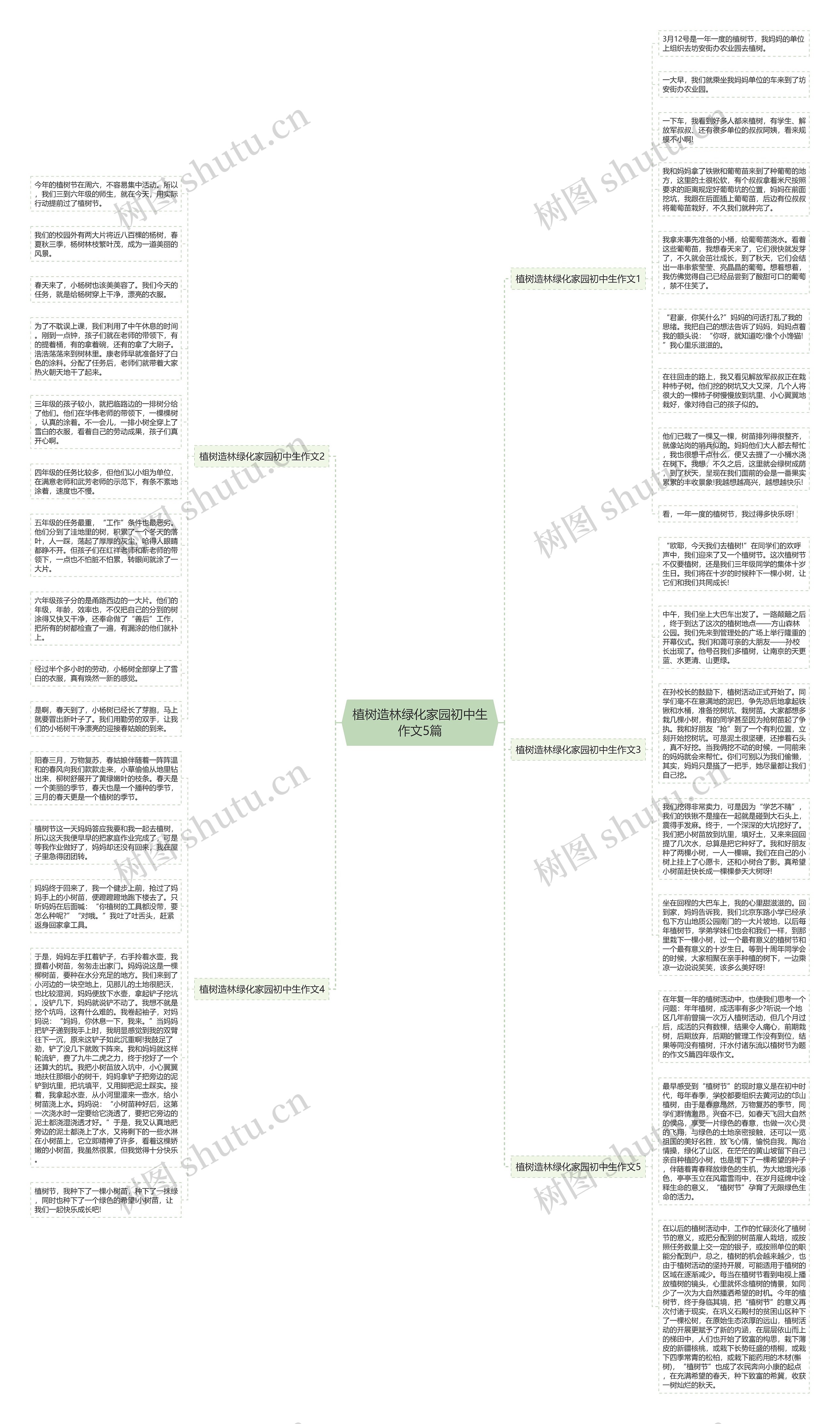 植树造林绿化家园初中生作文5篇思维导图