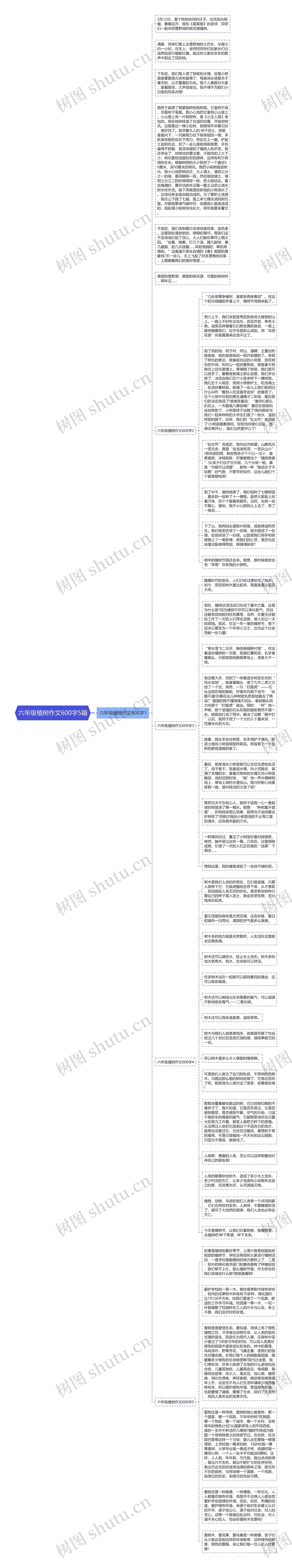 六年级植树作文600字5篇思维导图