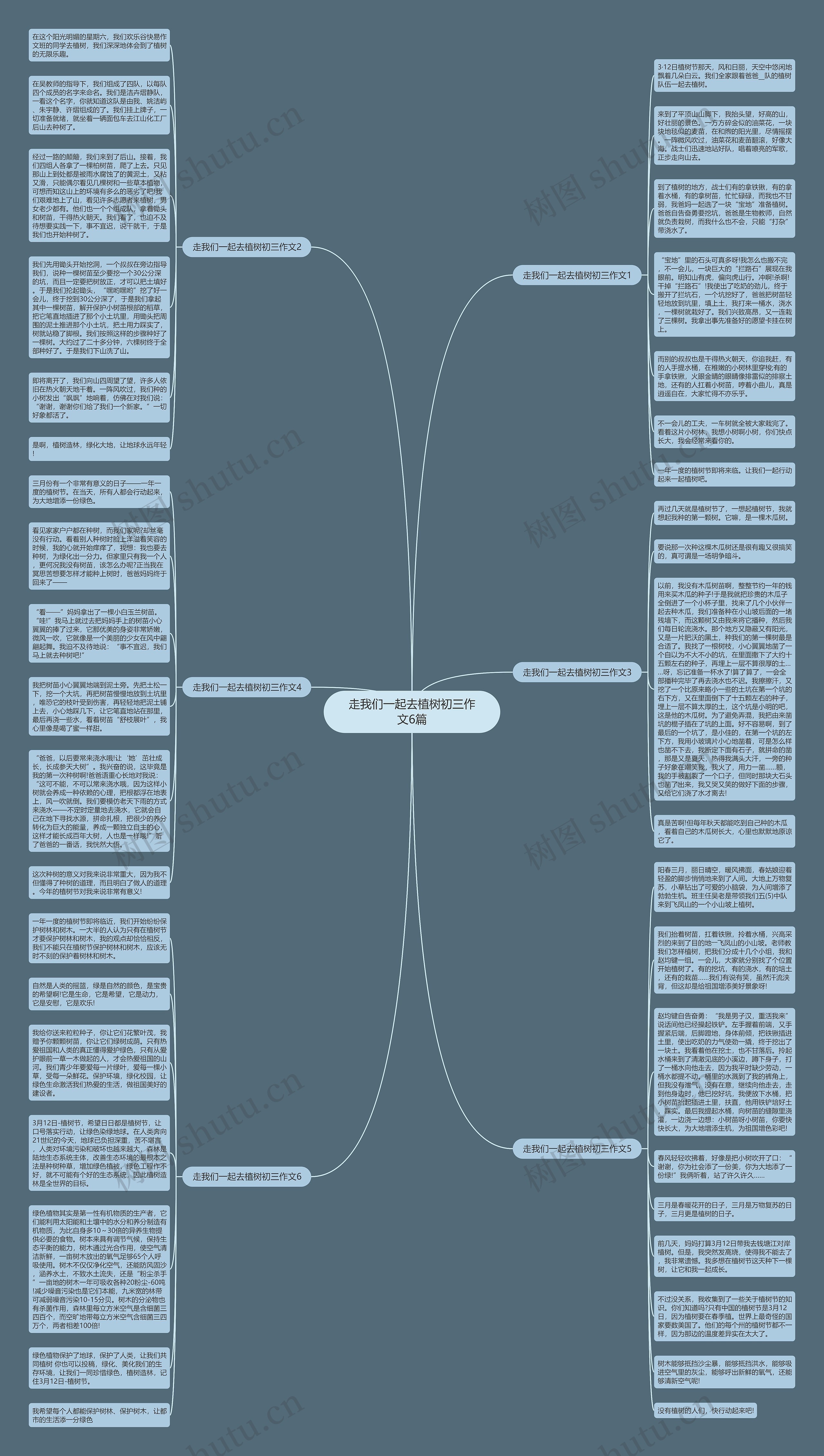 走我们一起去植树初三作文6篇思维导图