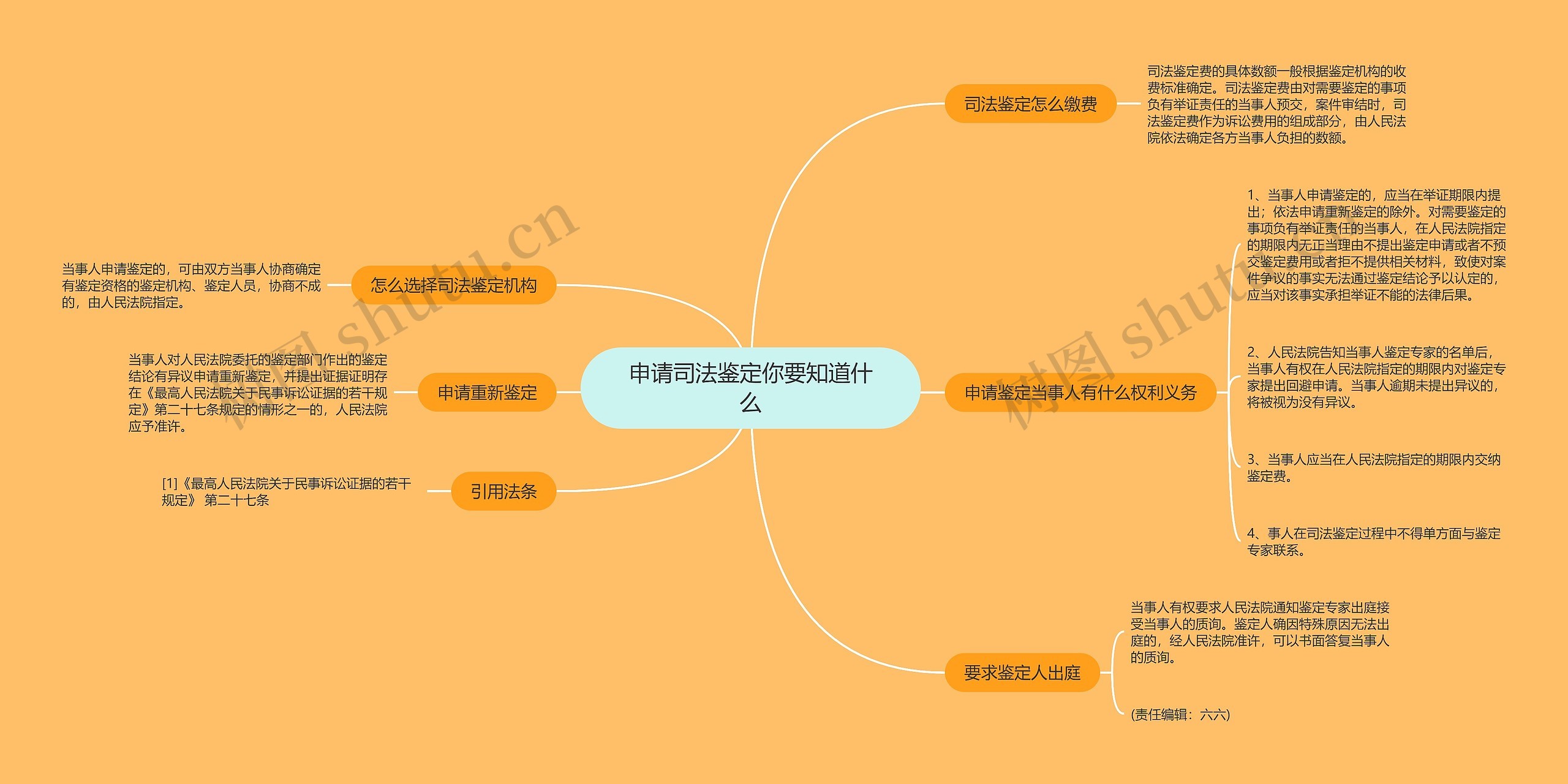 申请司法鉴定你要知道什么思维导图