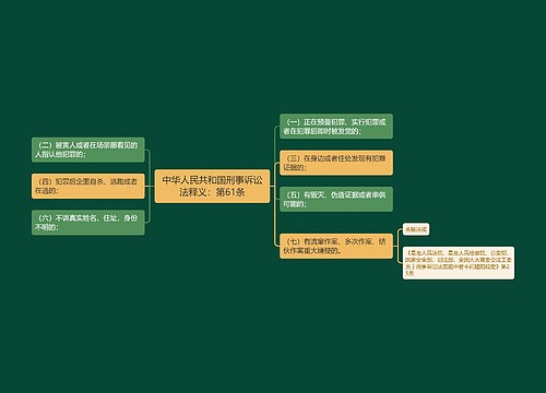 中华人民共和国刑事诉讼法释义：第61条