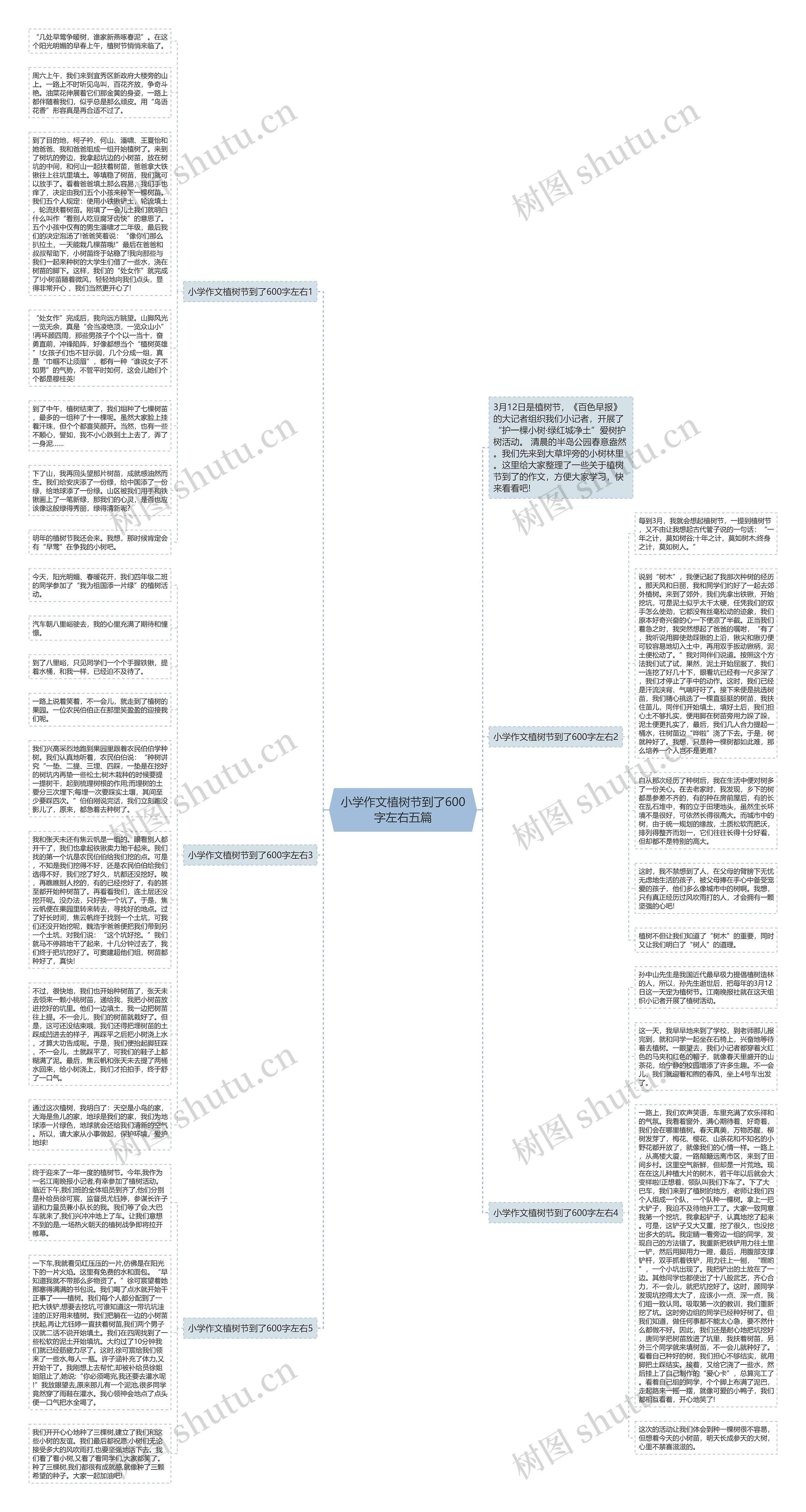 小学作文植树节到了600字左右五篇思维导图