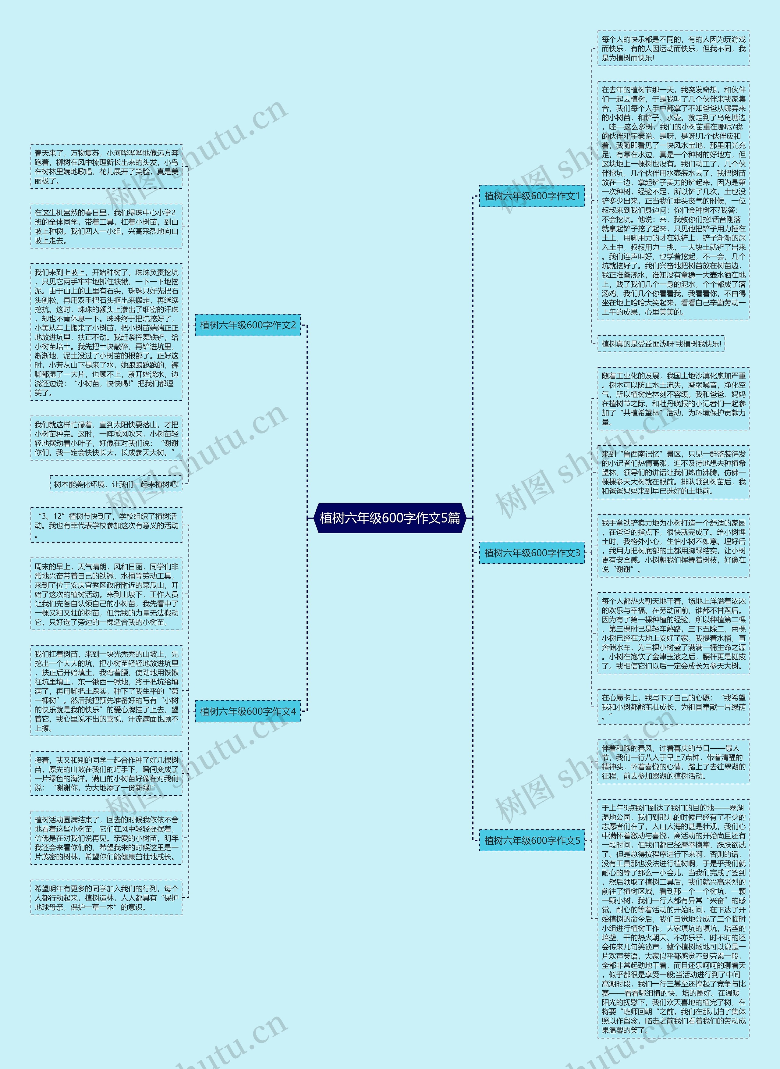 植树六年级600字作文5篇