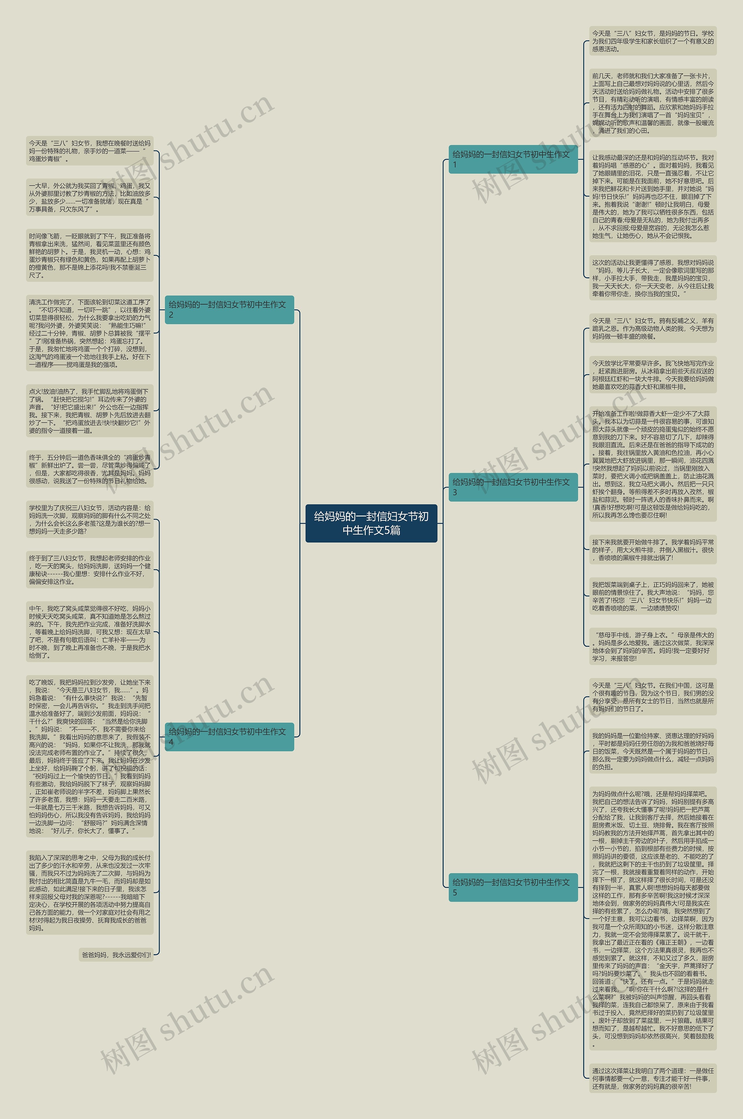 给妈妈的一封信妇女节初中生作文5篇思维导图