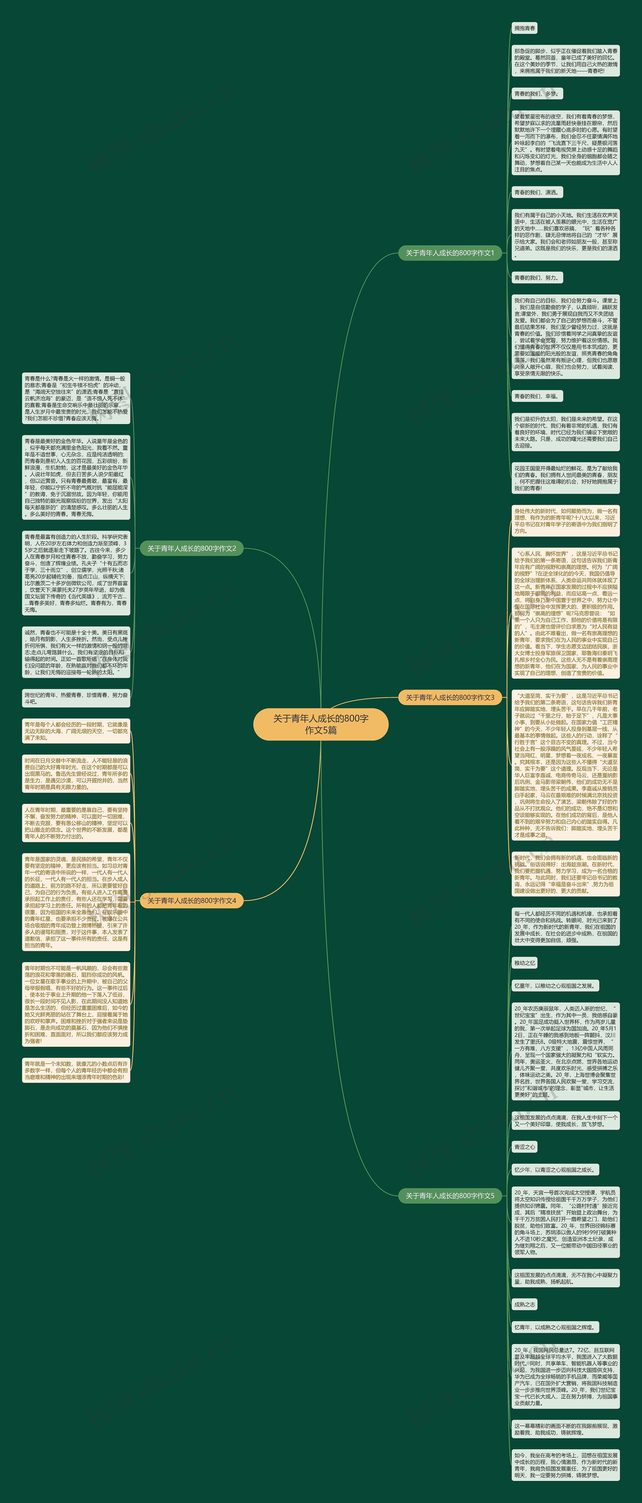 关于青年人成长的800字作文5篇思维导图