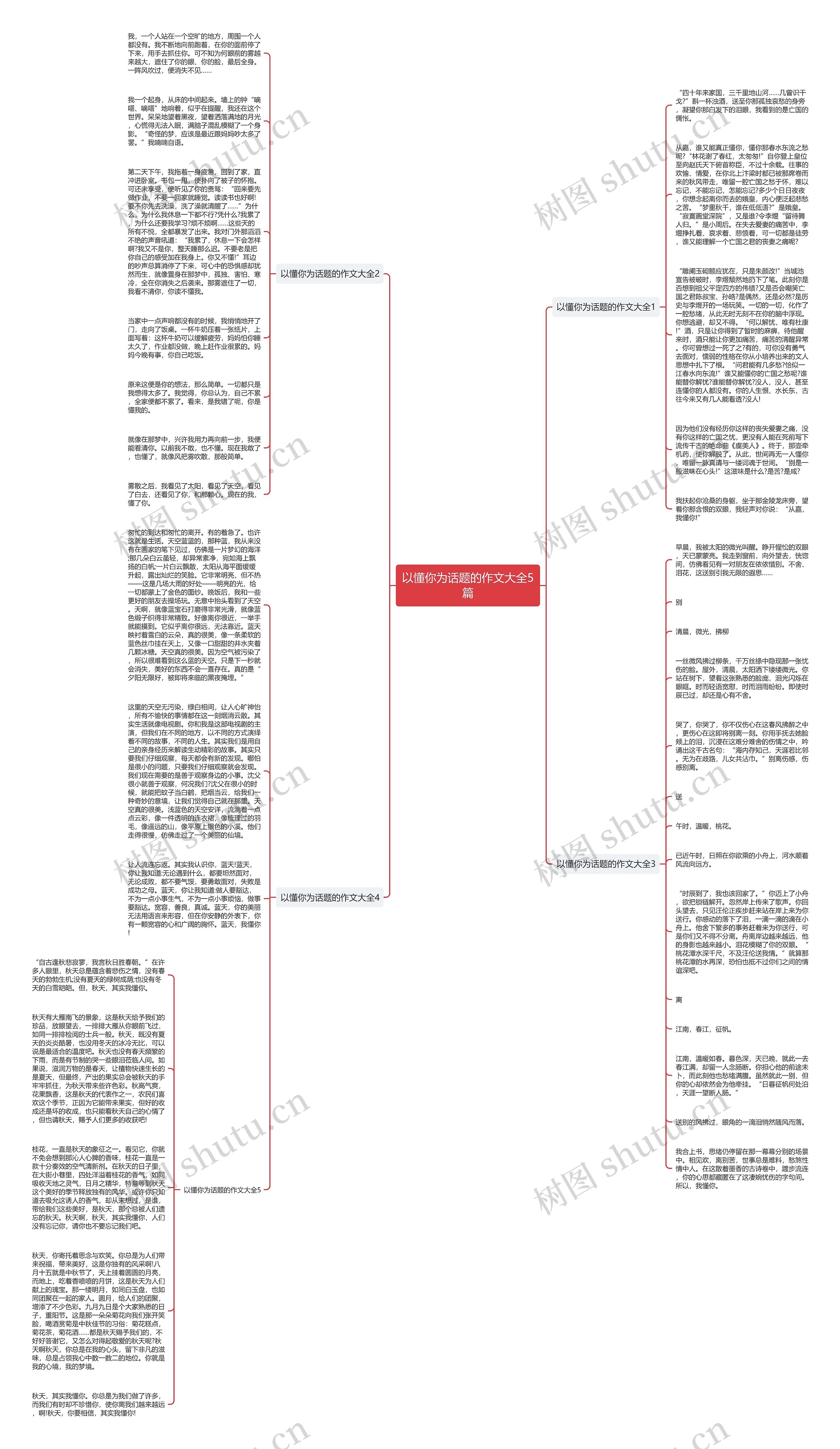 以懂你为话题的作文大全5篇思维导图