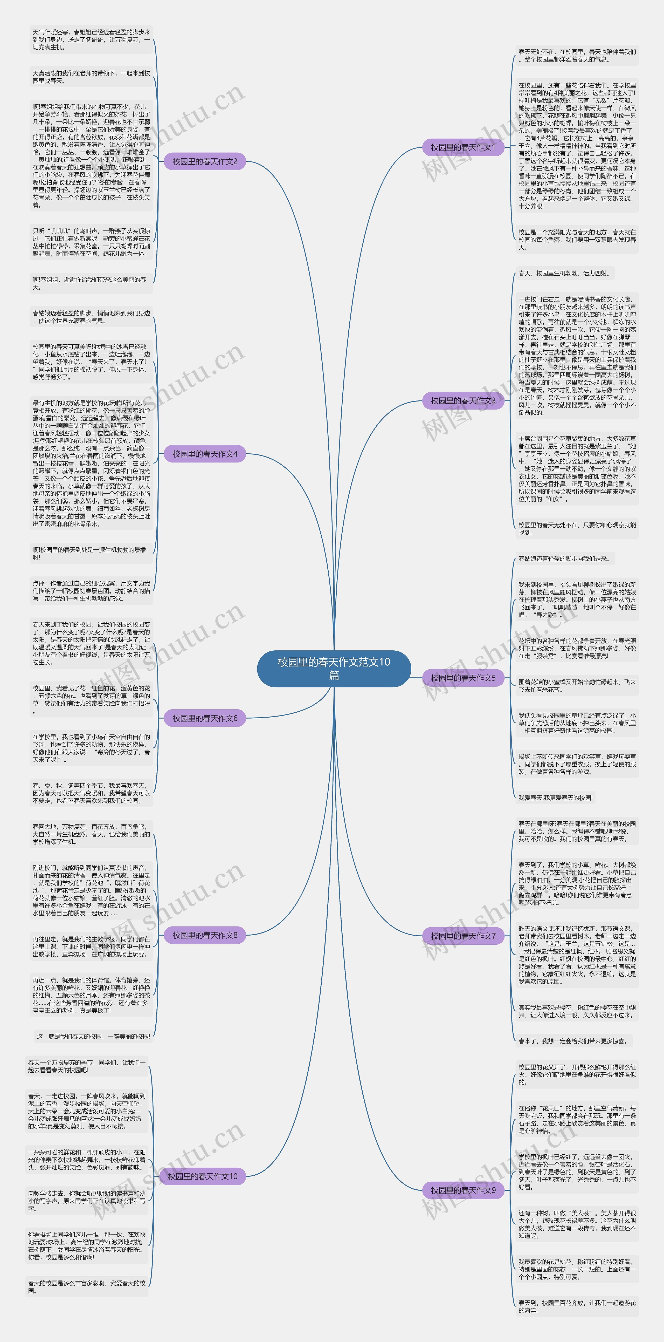 校园里的春天作文范文10篇思维导图