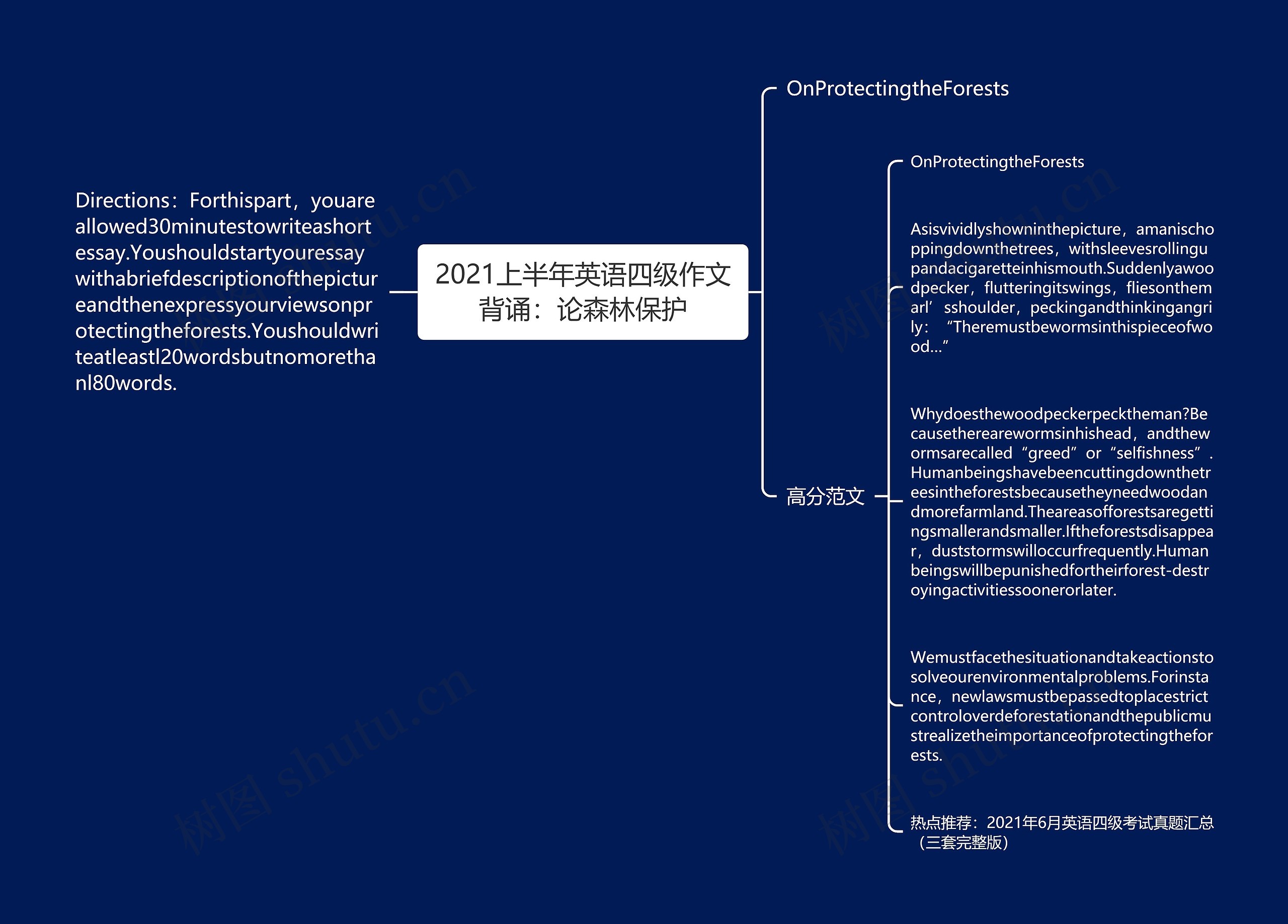 2021上半年英语四级作文背诵：论森林保护思维导图