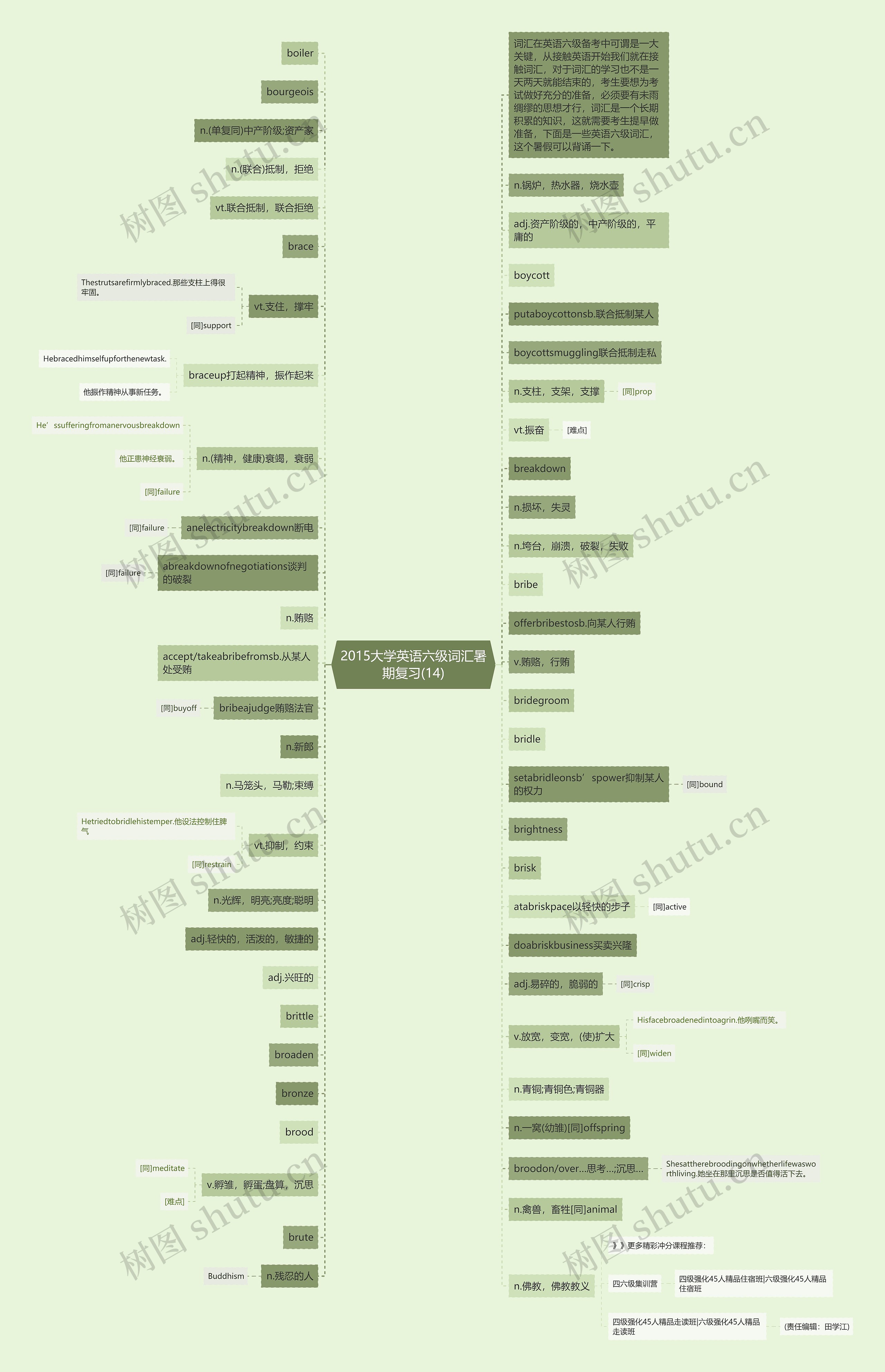 2015大学英语六级词汇暑期复习(14)思维导图