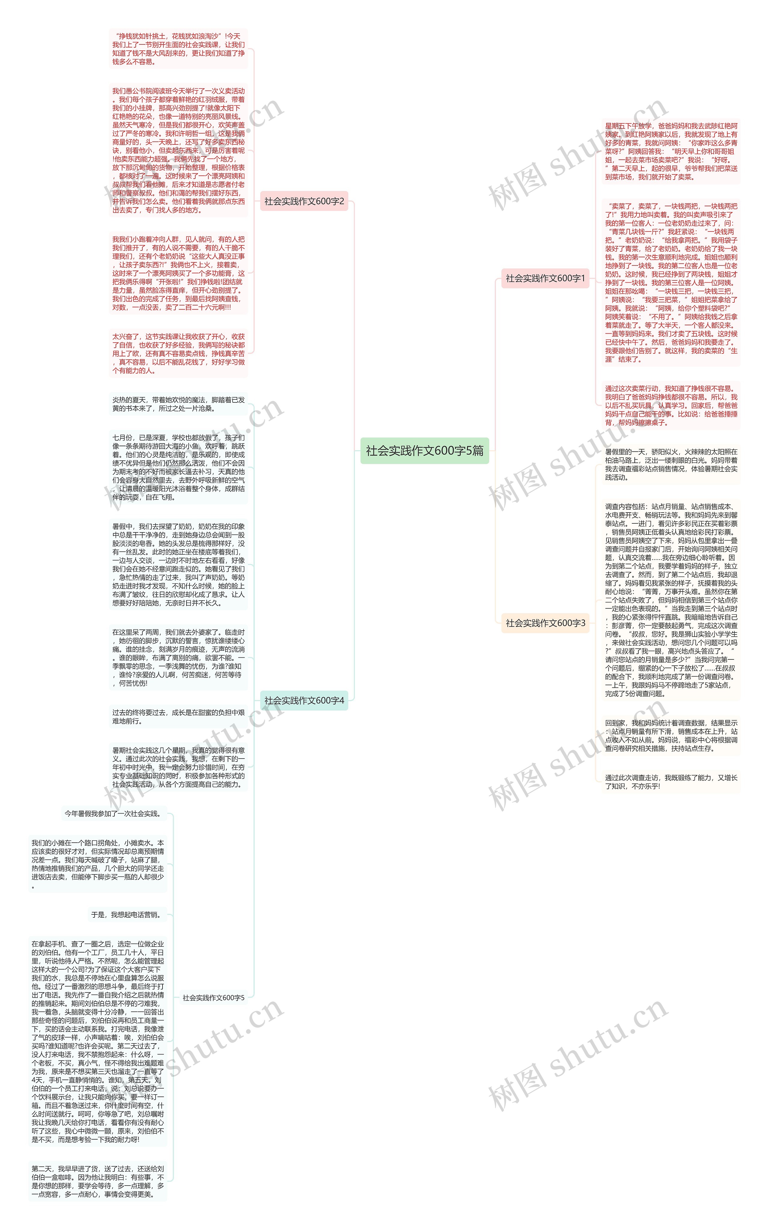 社会实践作文600字5篇思维导图