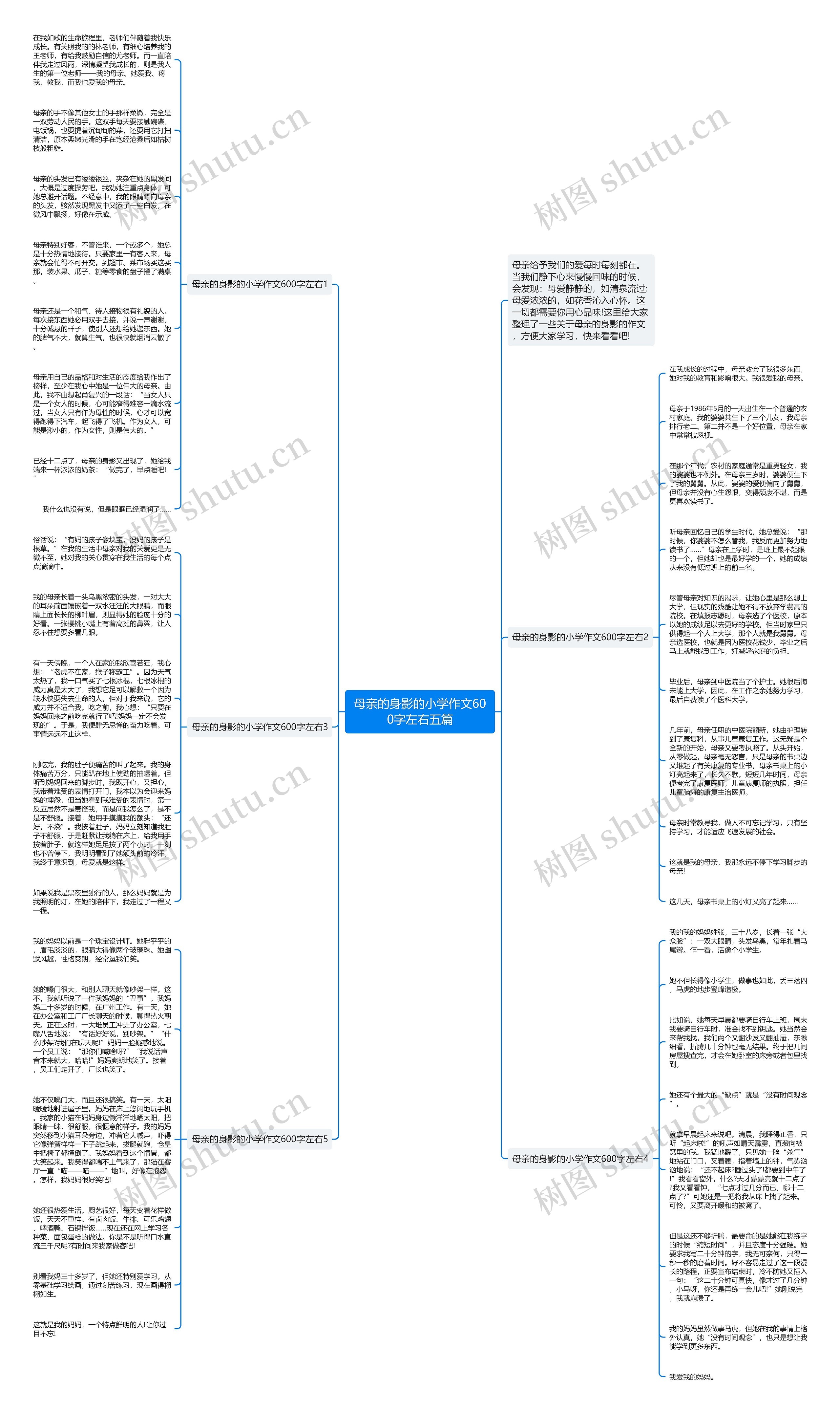 母亲的身影的小学作文600字左右五篇思维导图