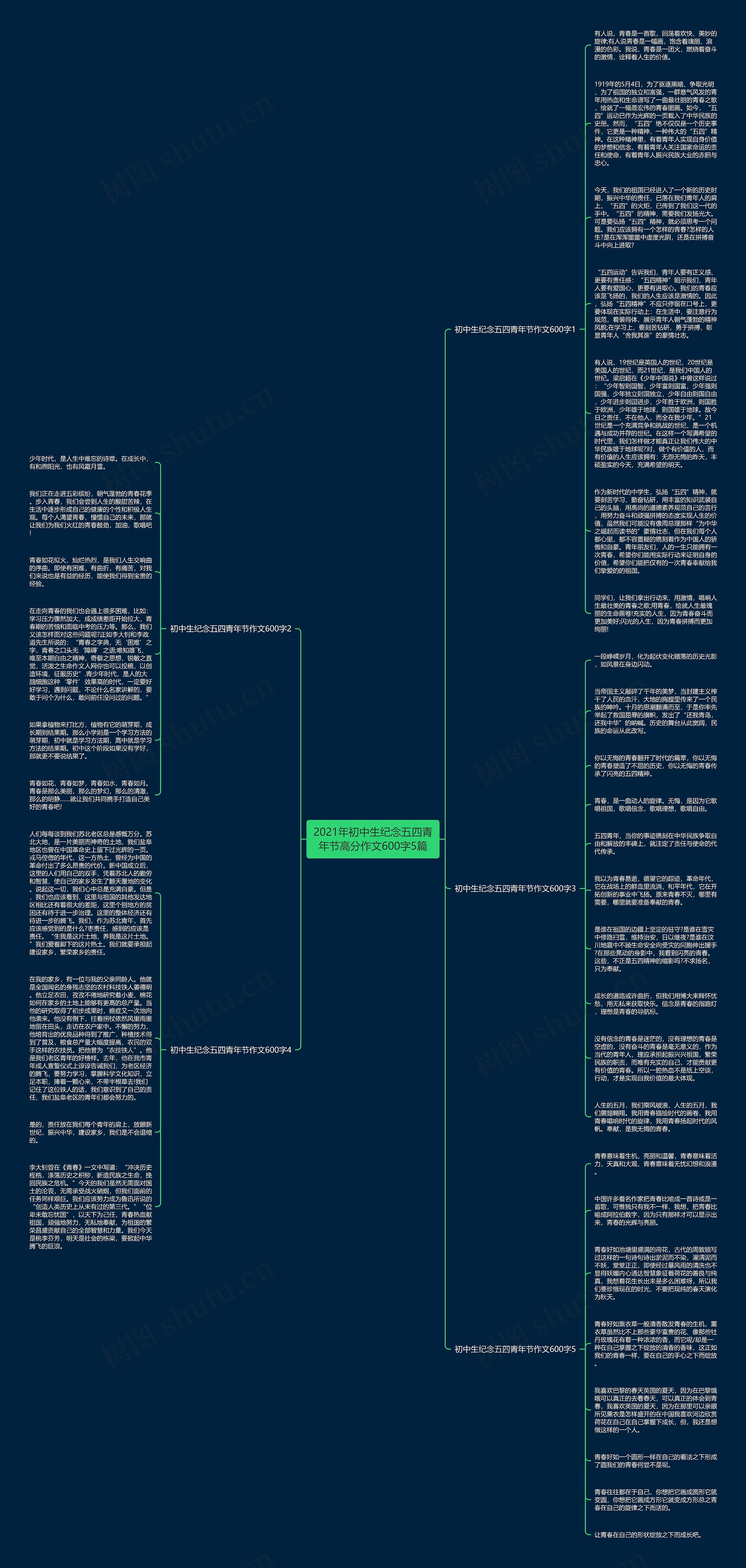2021年初中生纪念五四青年节高分作文600字5篇思维导图