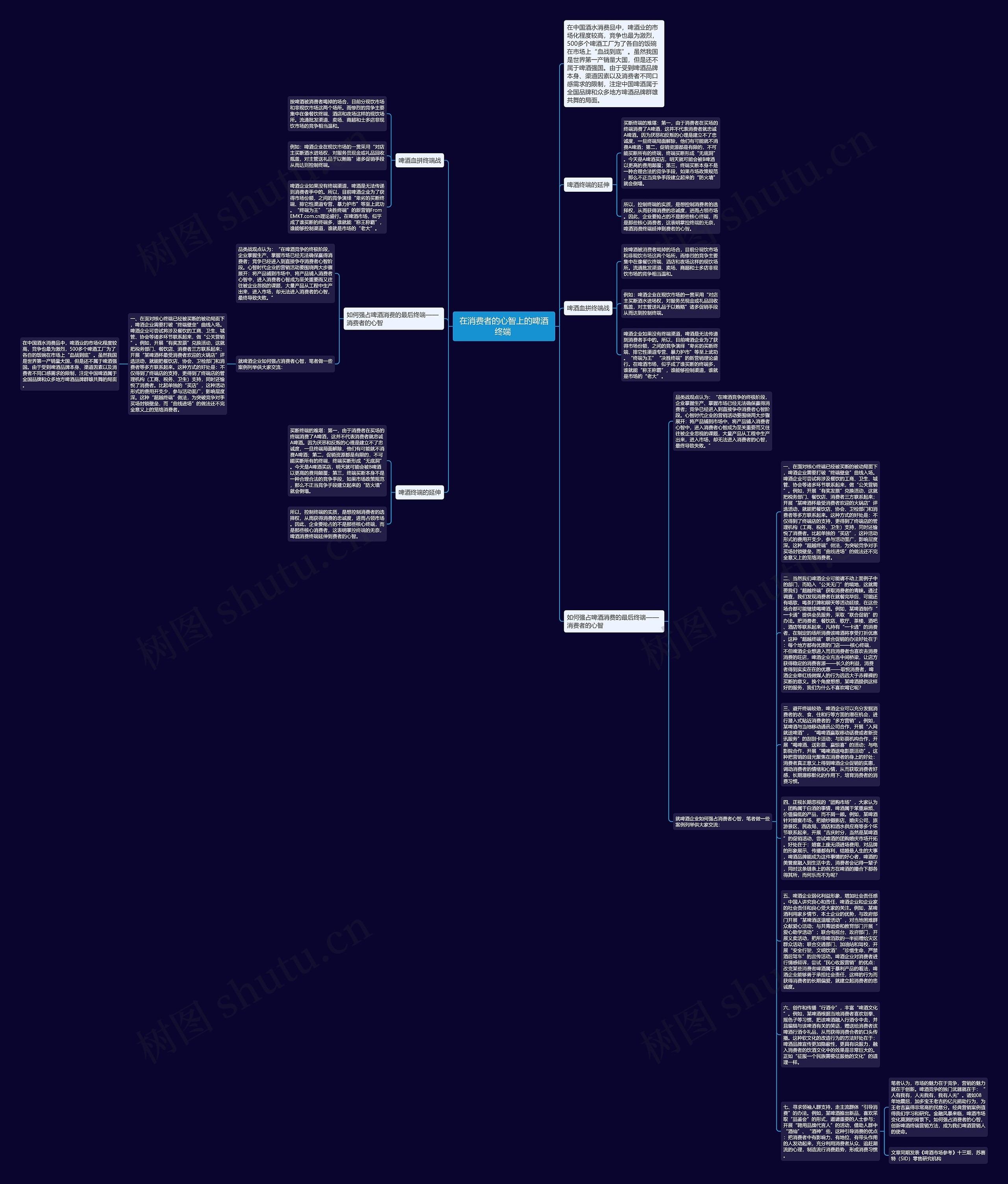 在消费者的心智上的啤酒终端 思维导图