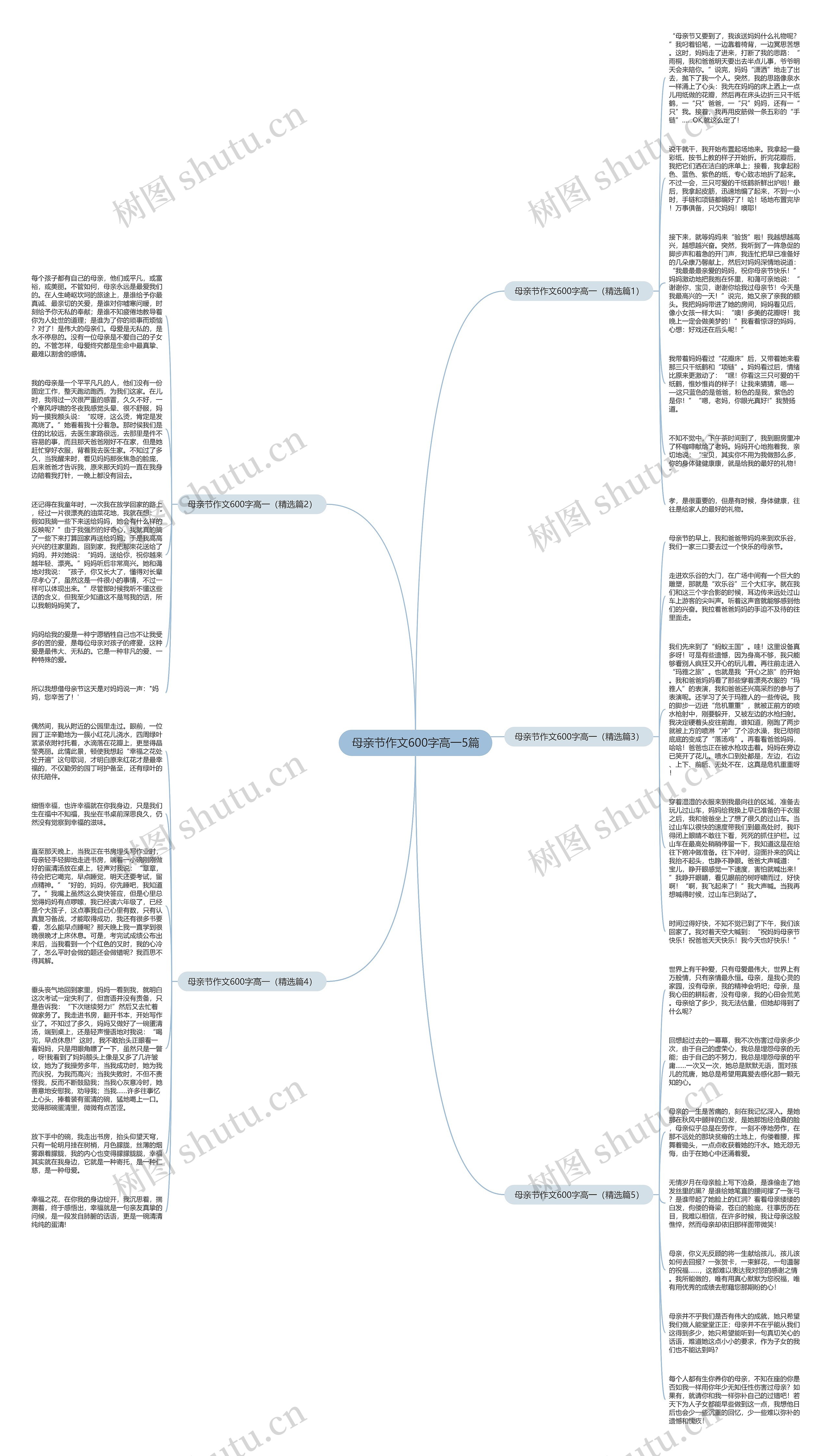 母亲节作文600字高一5篇思维导图