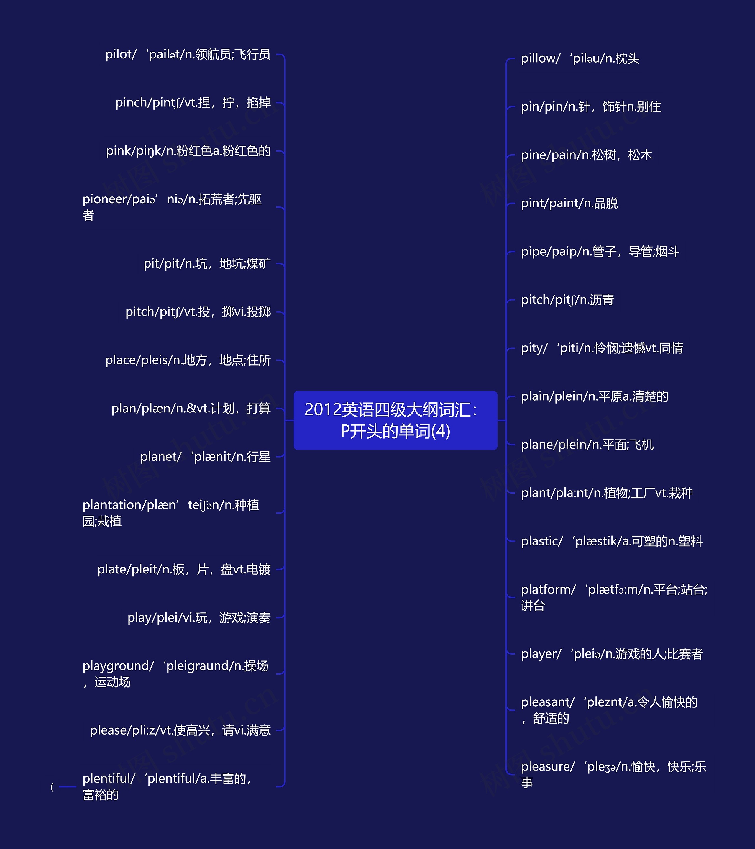 2012英语四级大纲词汇：P开头的单词(4)思维导图