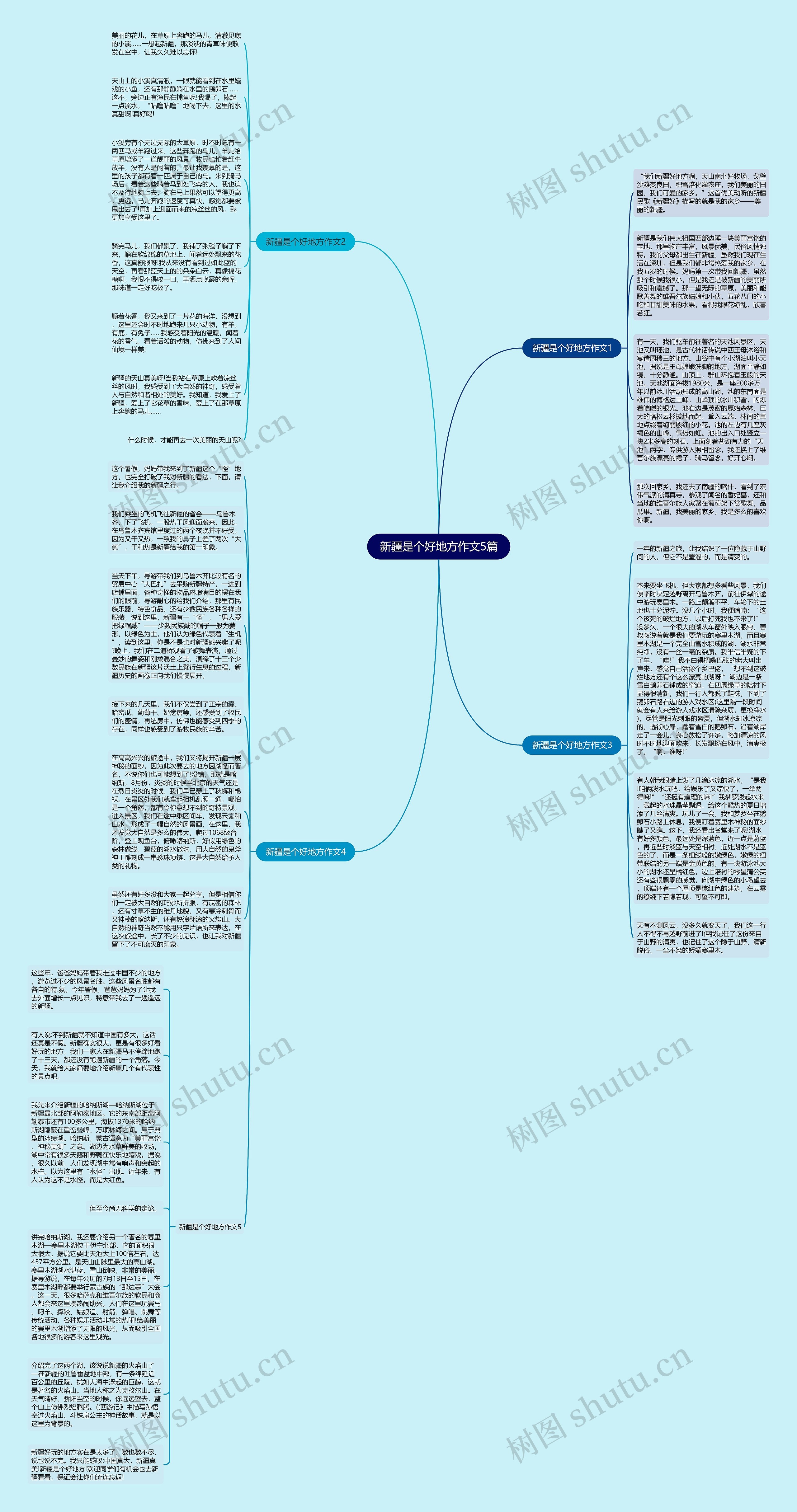 新疆是个好地方作文5篇思维导图
