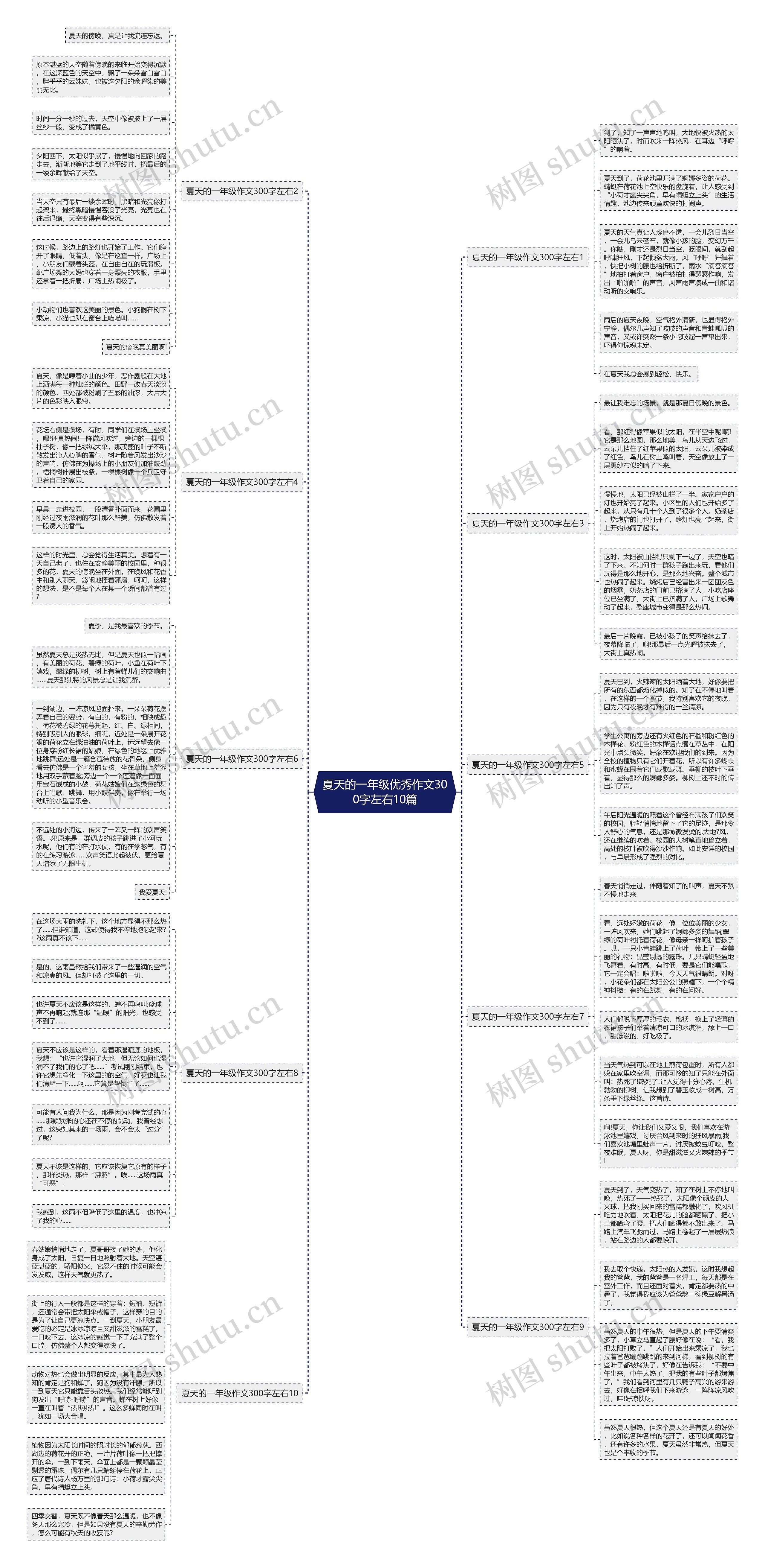 夏天的一年级优秀作文300字左右10篇思维导图