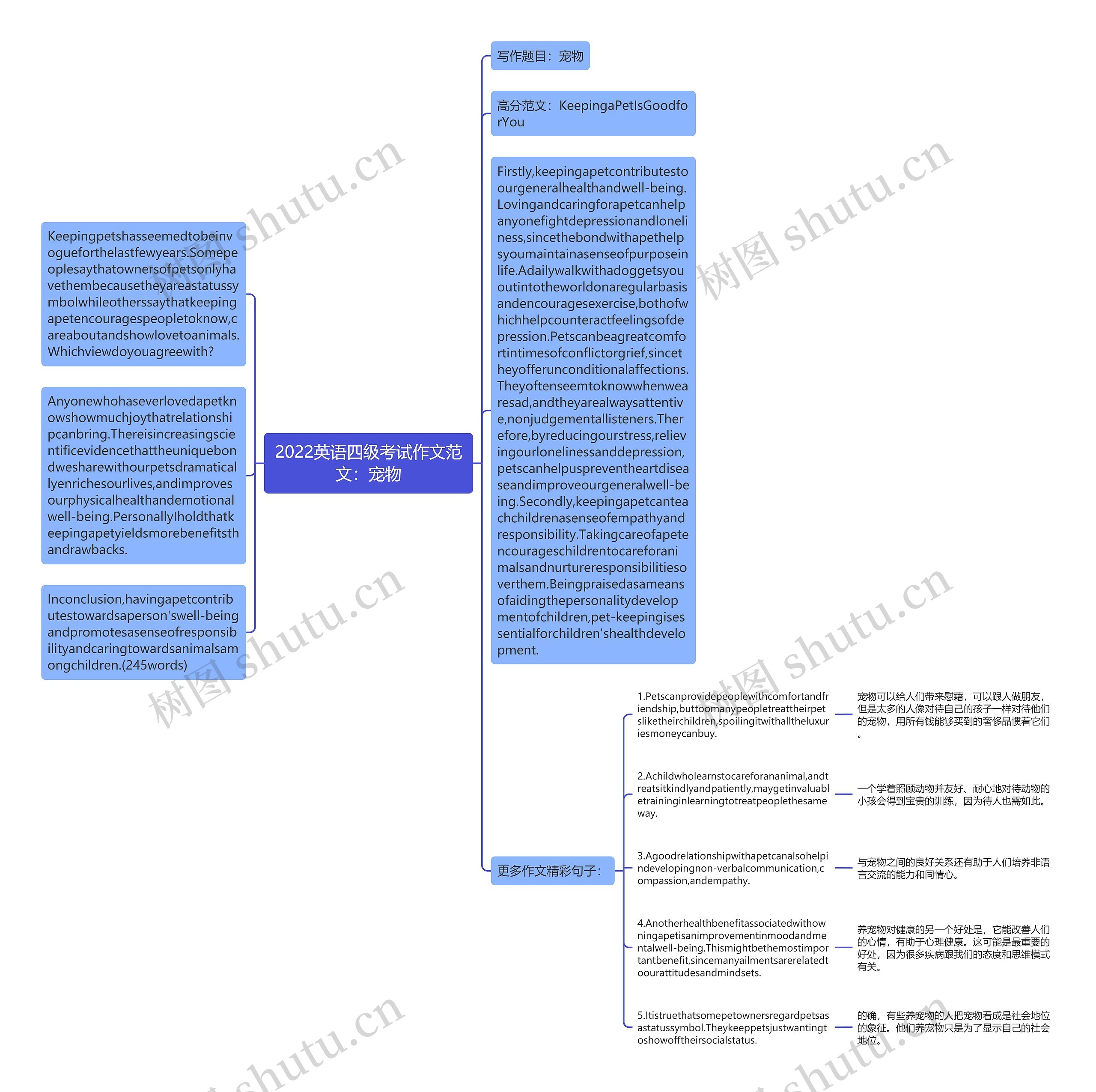 2022英语四级考试作文范文：宠物思维导图