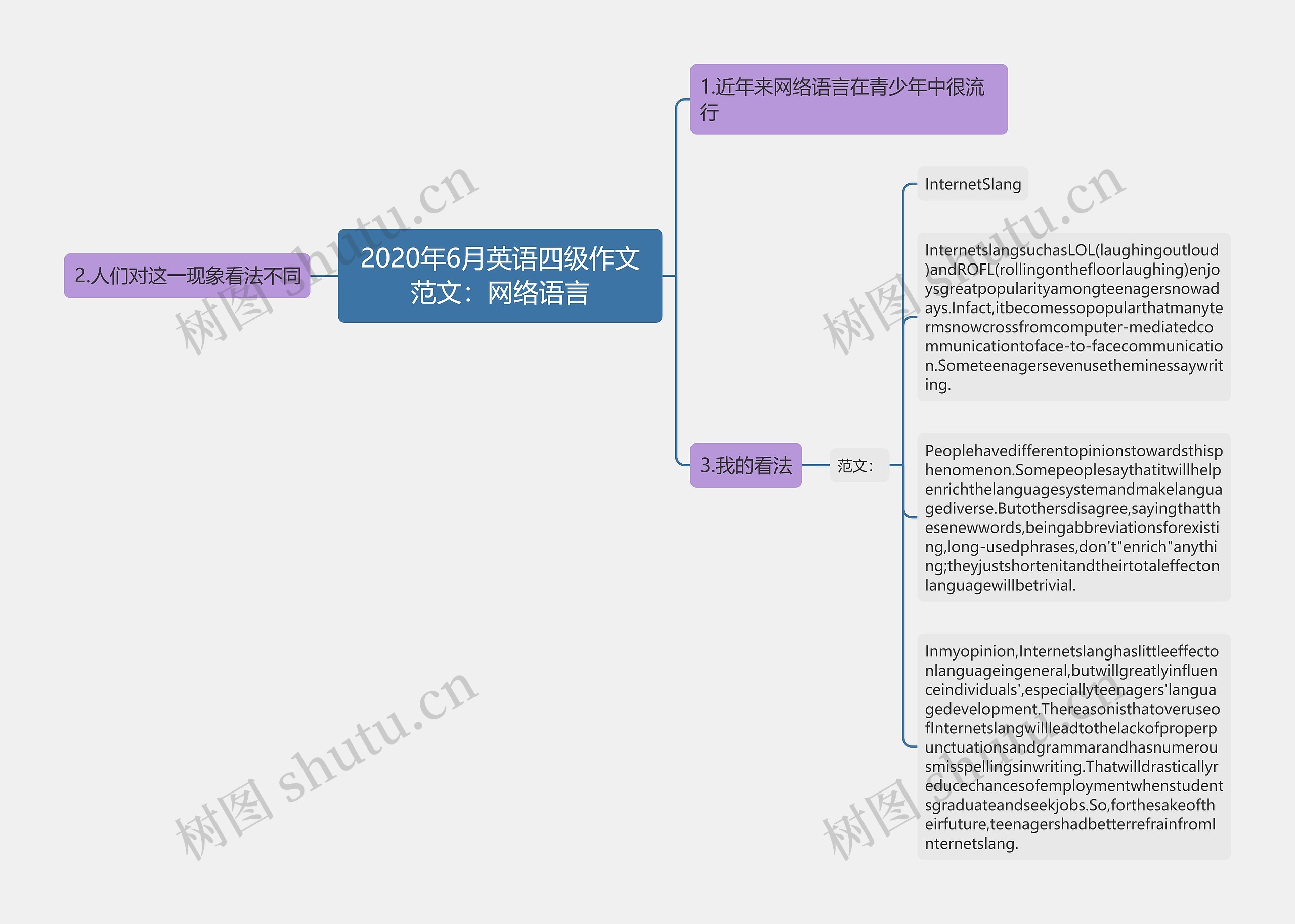 2020年6月英语四级作文范文：网络语言