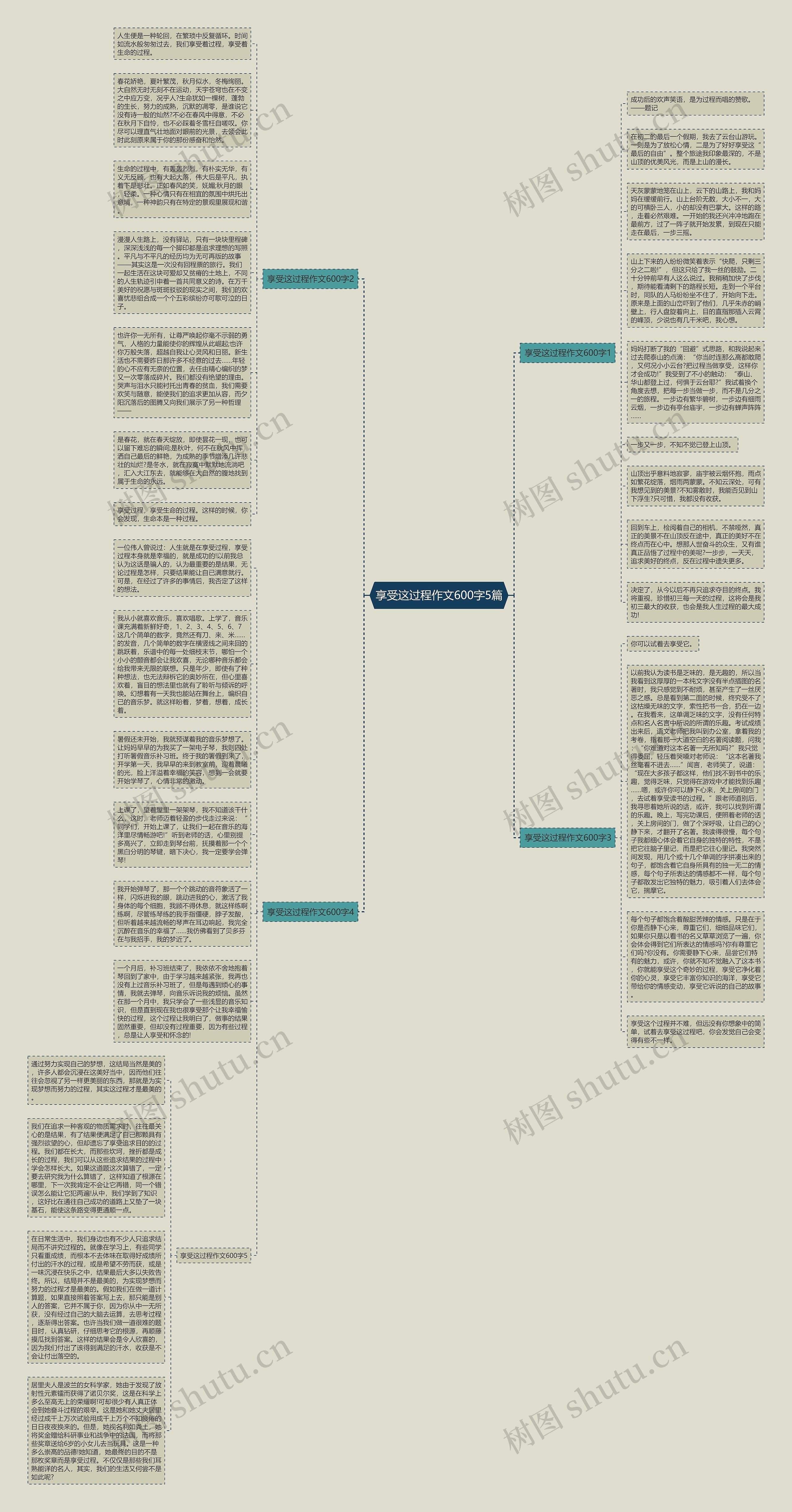 享受这过程作文600字5篇思维导图