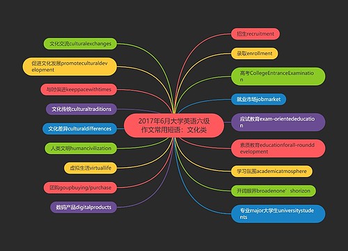 2017年6月大学英语六级作文常用短语：文化类