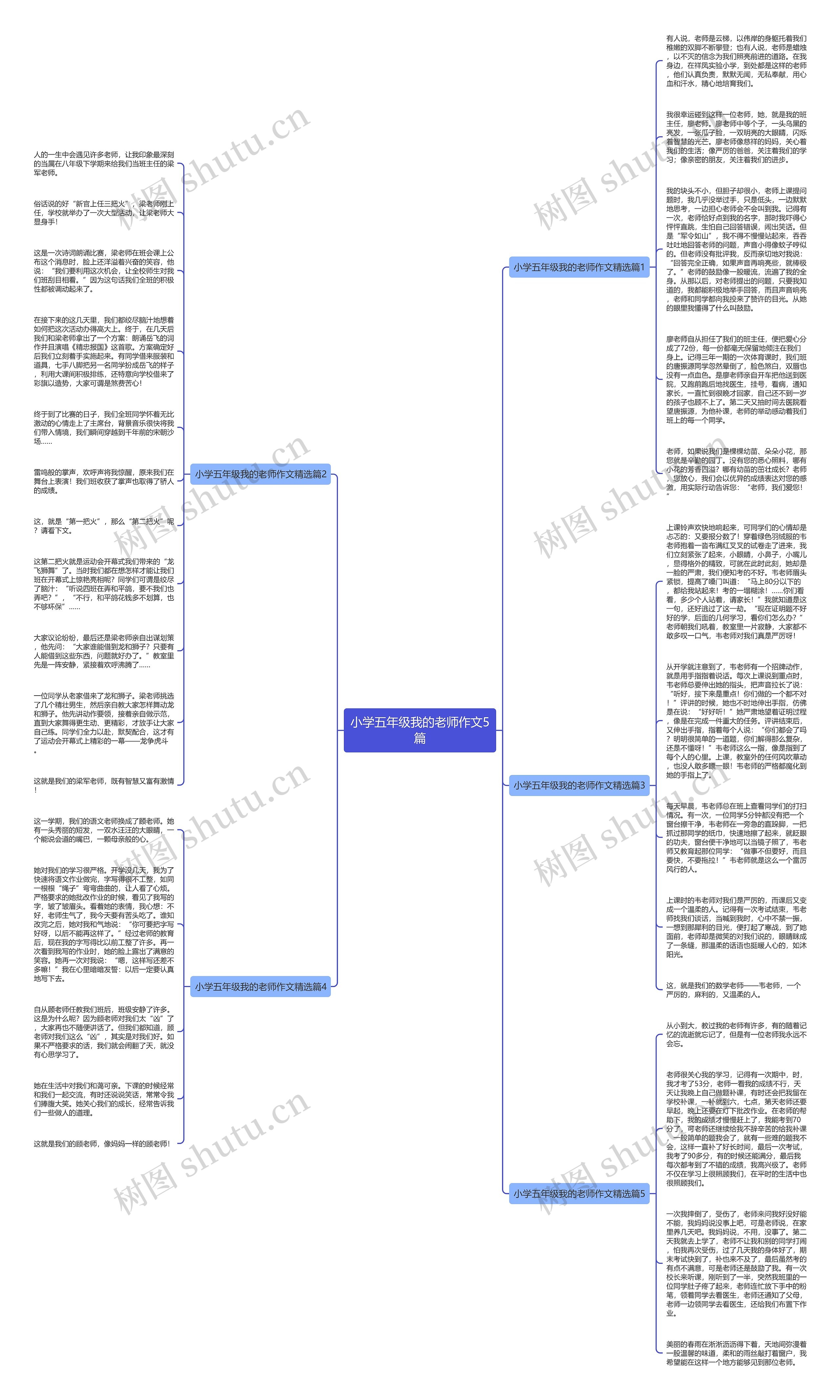 小学五年级我的老师作文5篇思维导图