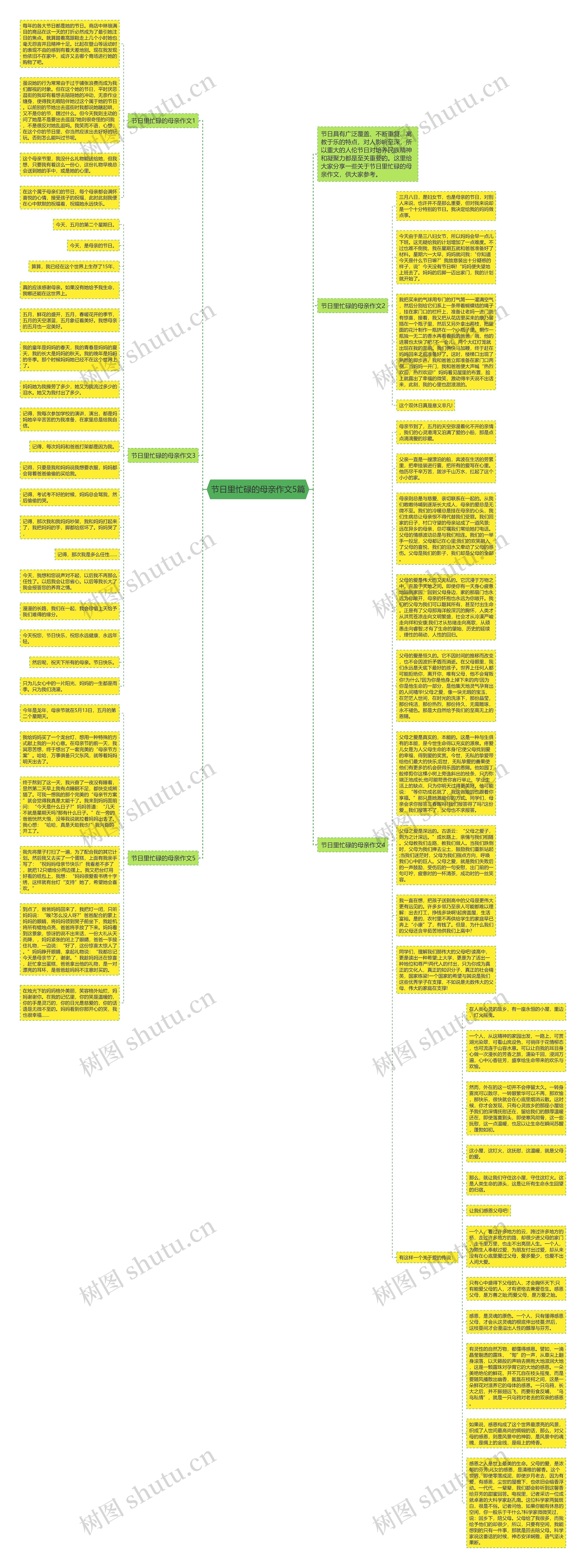 节日里忙碌的母亲作文5篇思维导图