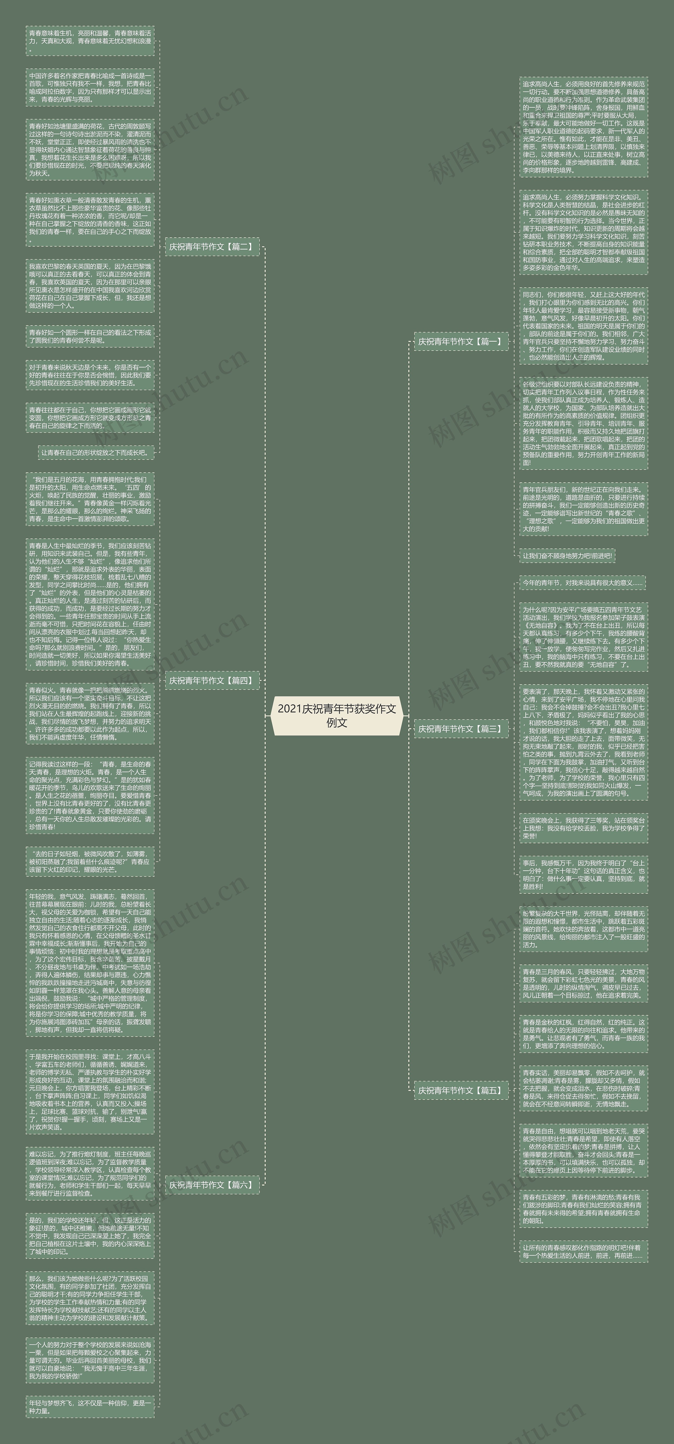 2021庆祝青年节获奖作文例文思维导图