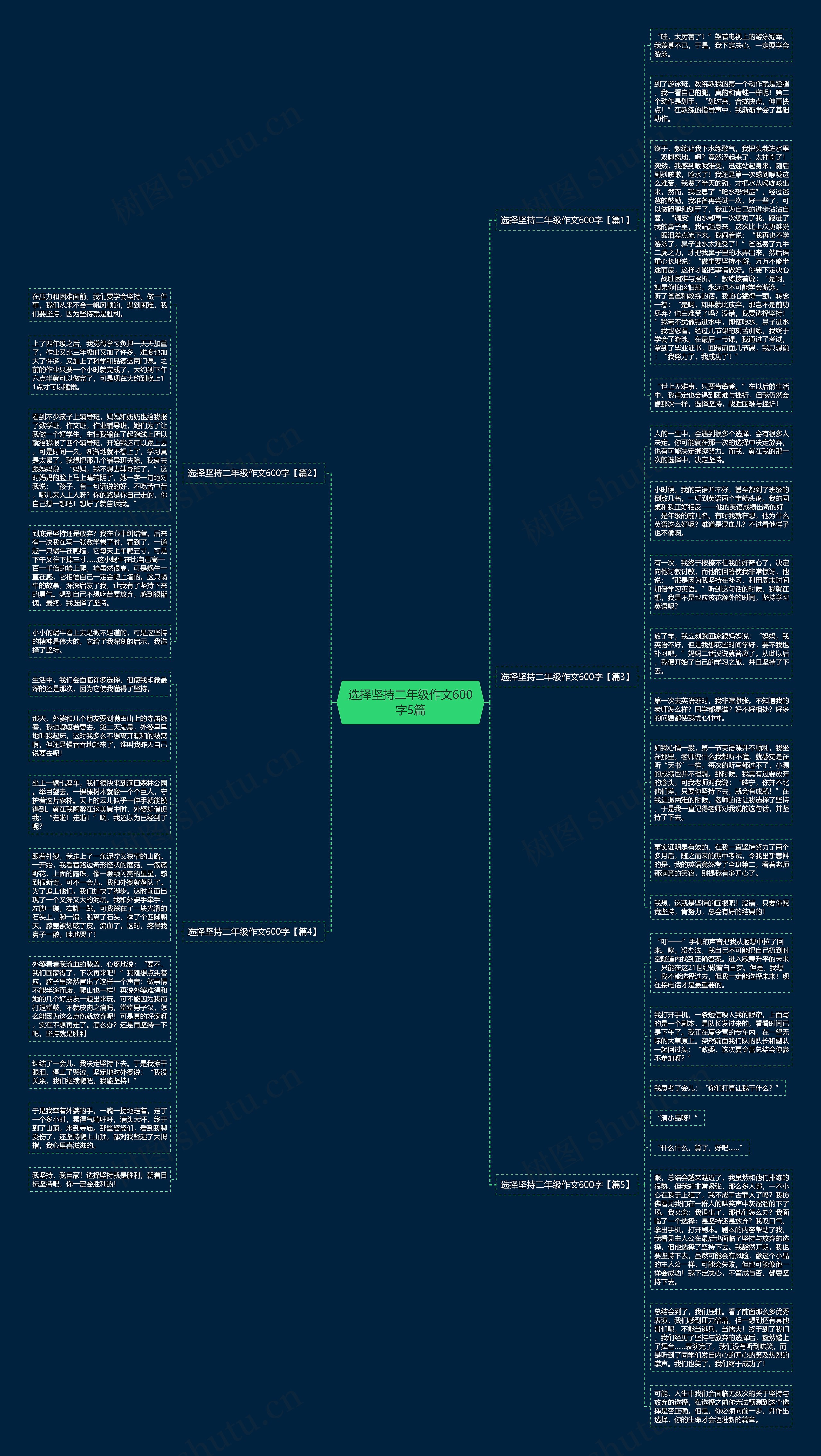 选择坚持二年级作文600字5篇思维导图高清图 选择坚持二年级作文600字5篇思维导图