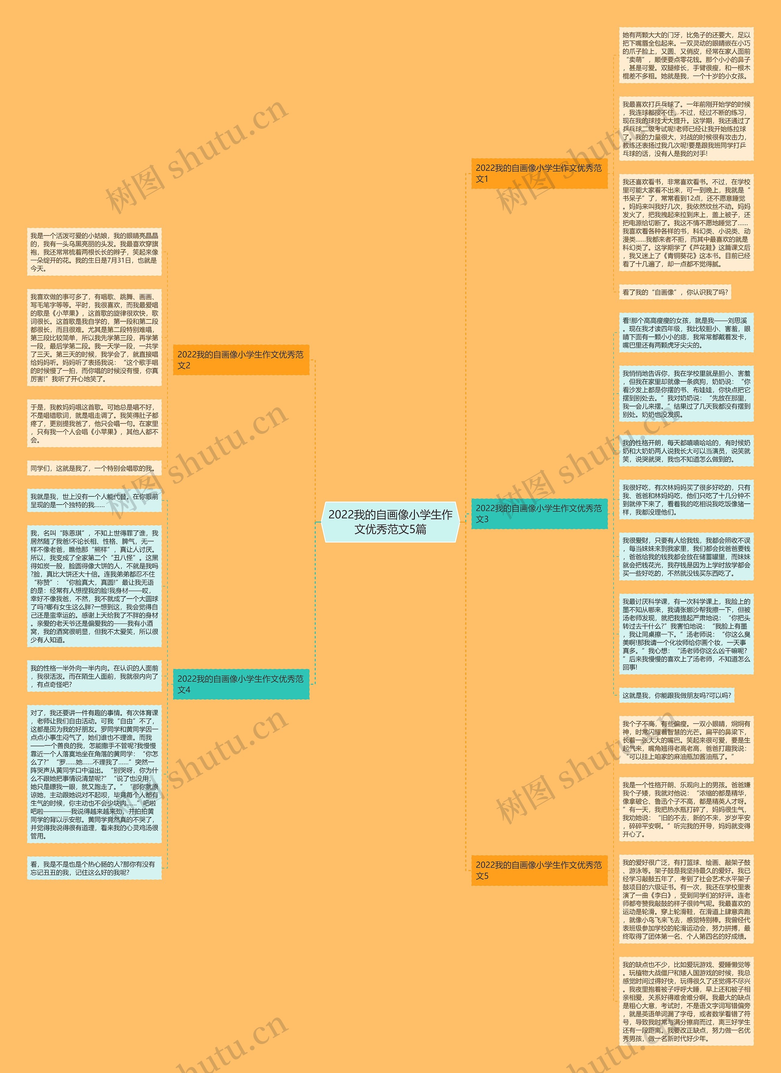 2022我的自画像小学生作文优秀范文5篇思维导图
