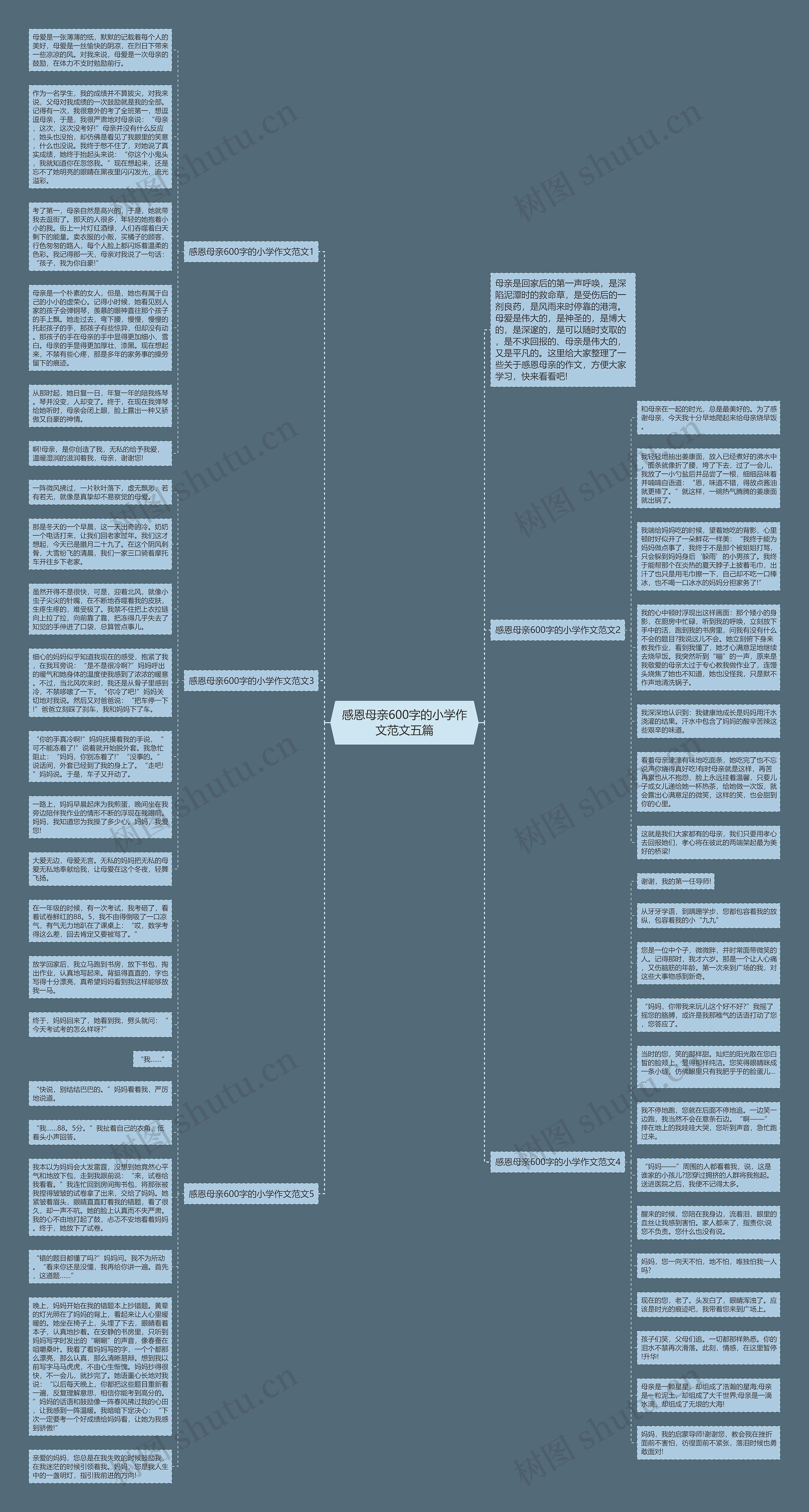 感恩母亲600字的小学作文范文五篇思维导图