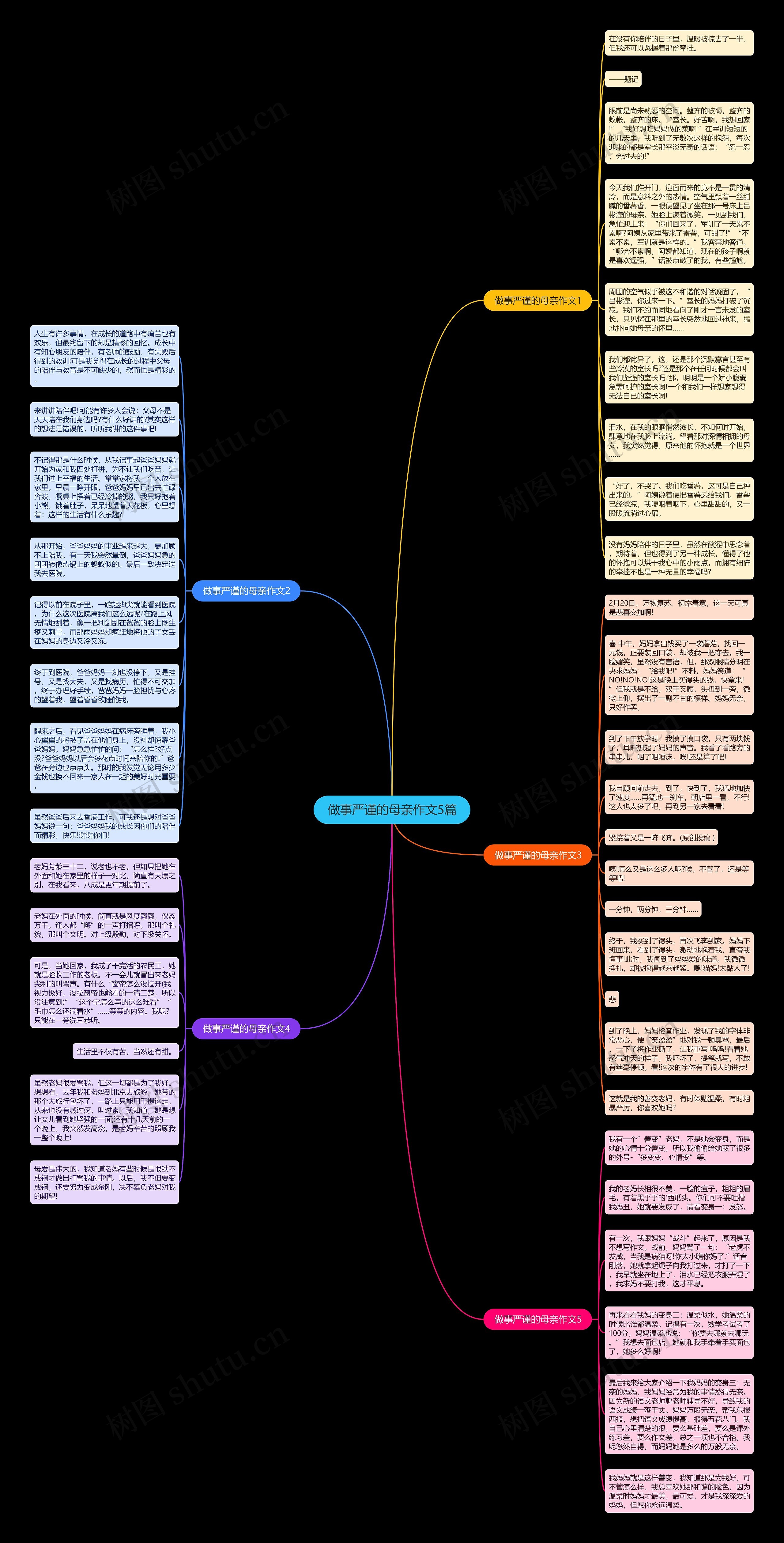 做事严谨的母亲作文5篇思维导图