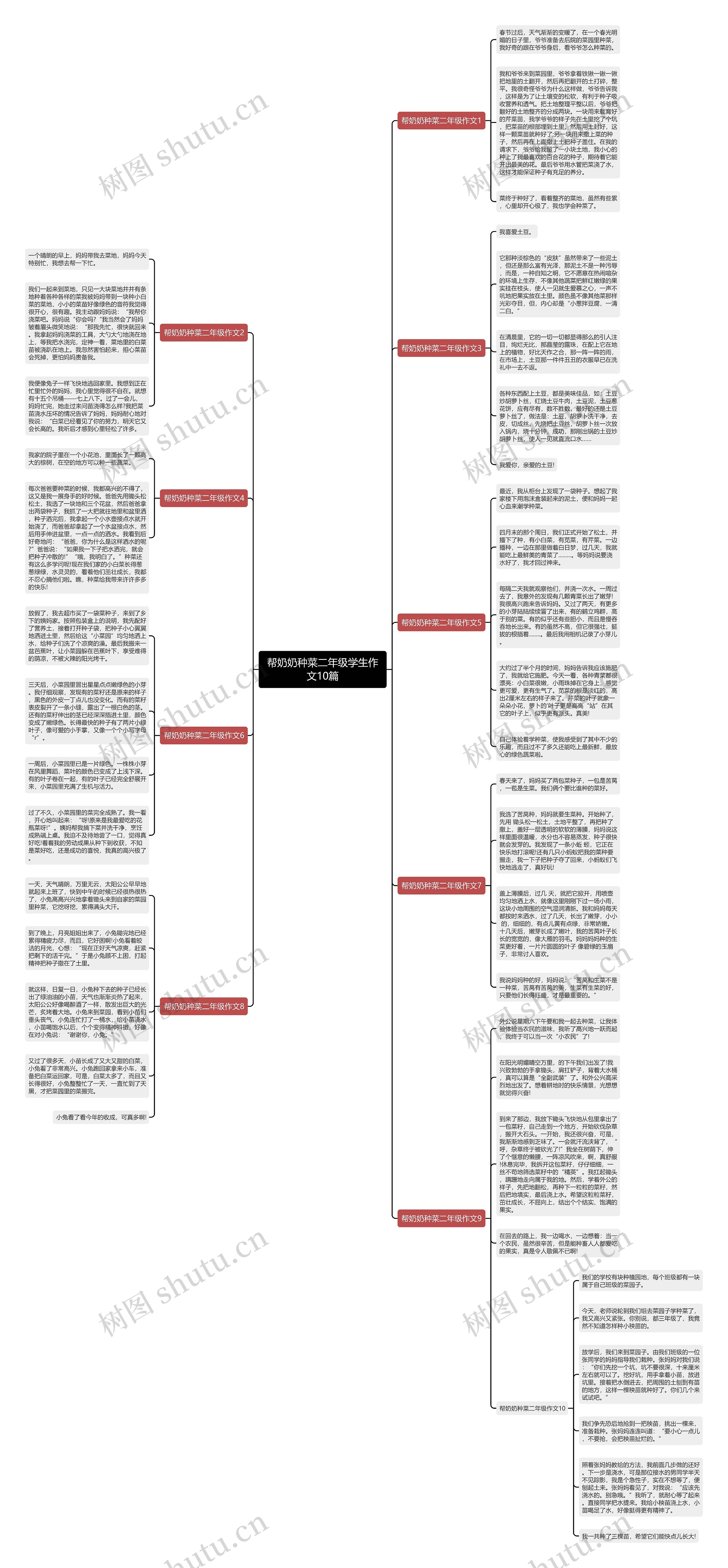 帮奶奶种菜二年级学生作文10篇思维导图