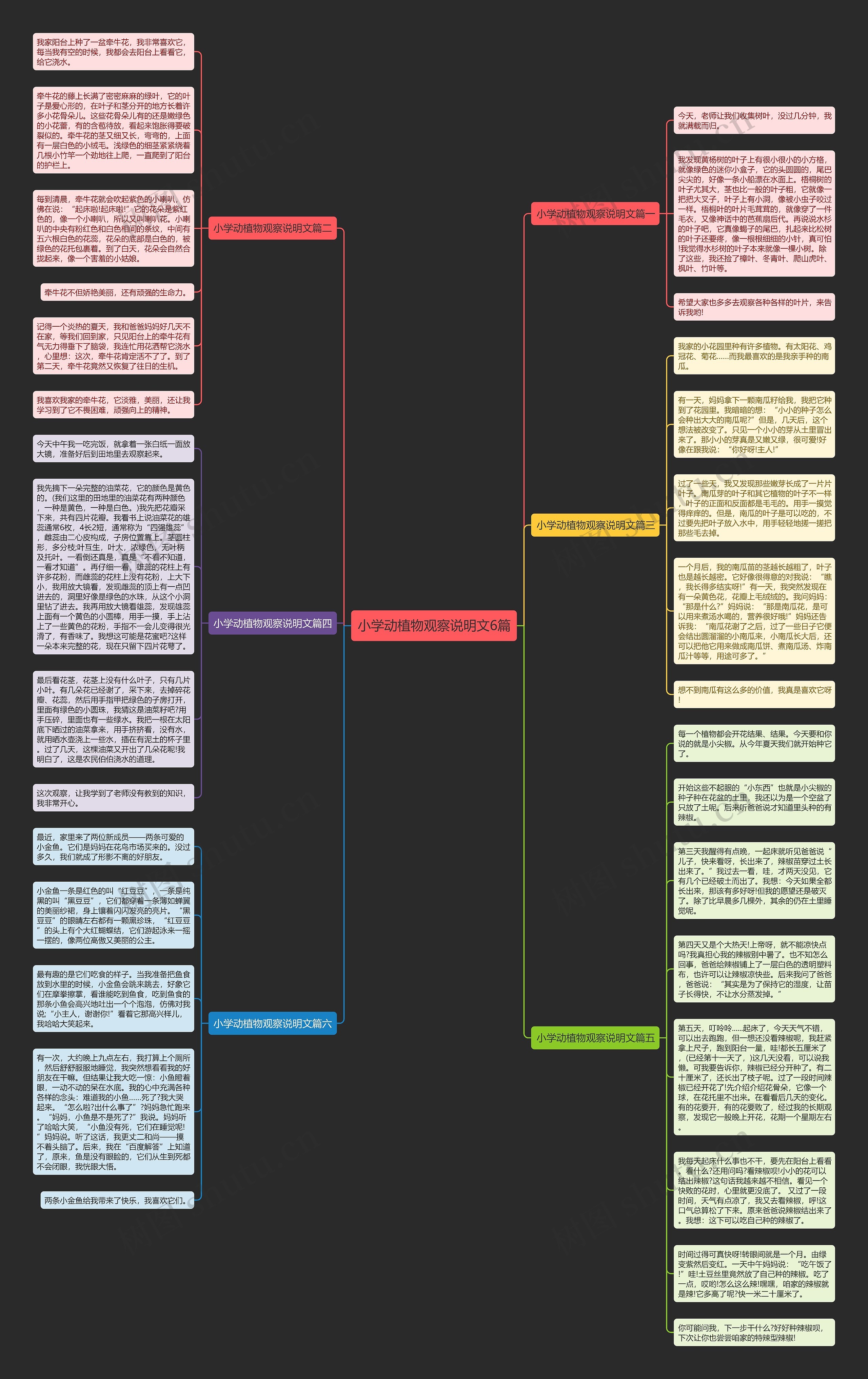小学动植物观察说明文6篇思维导图
