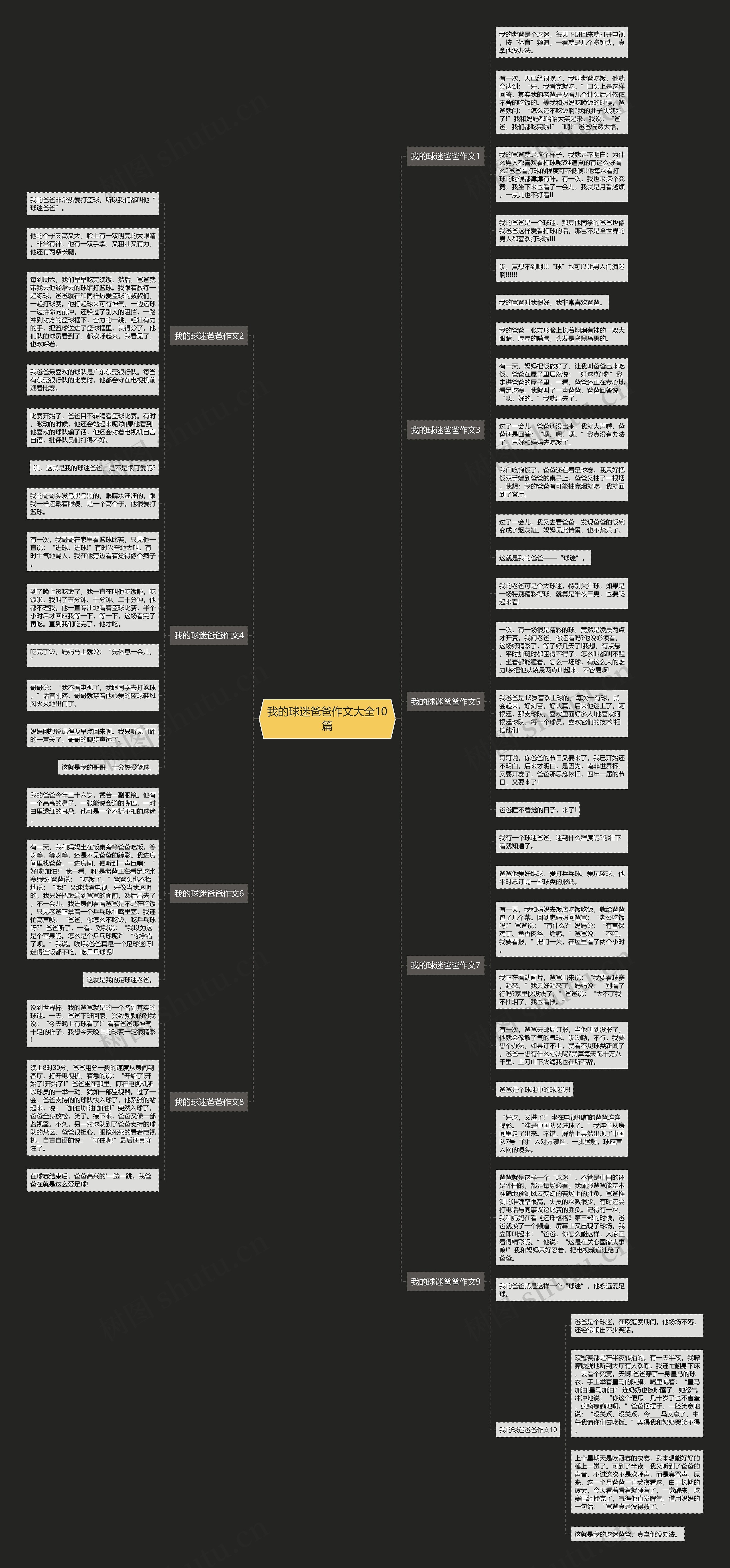 我的球迷爸爸作文大全10篇思维导图