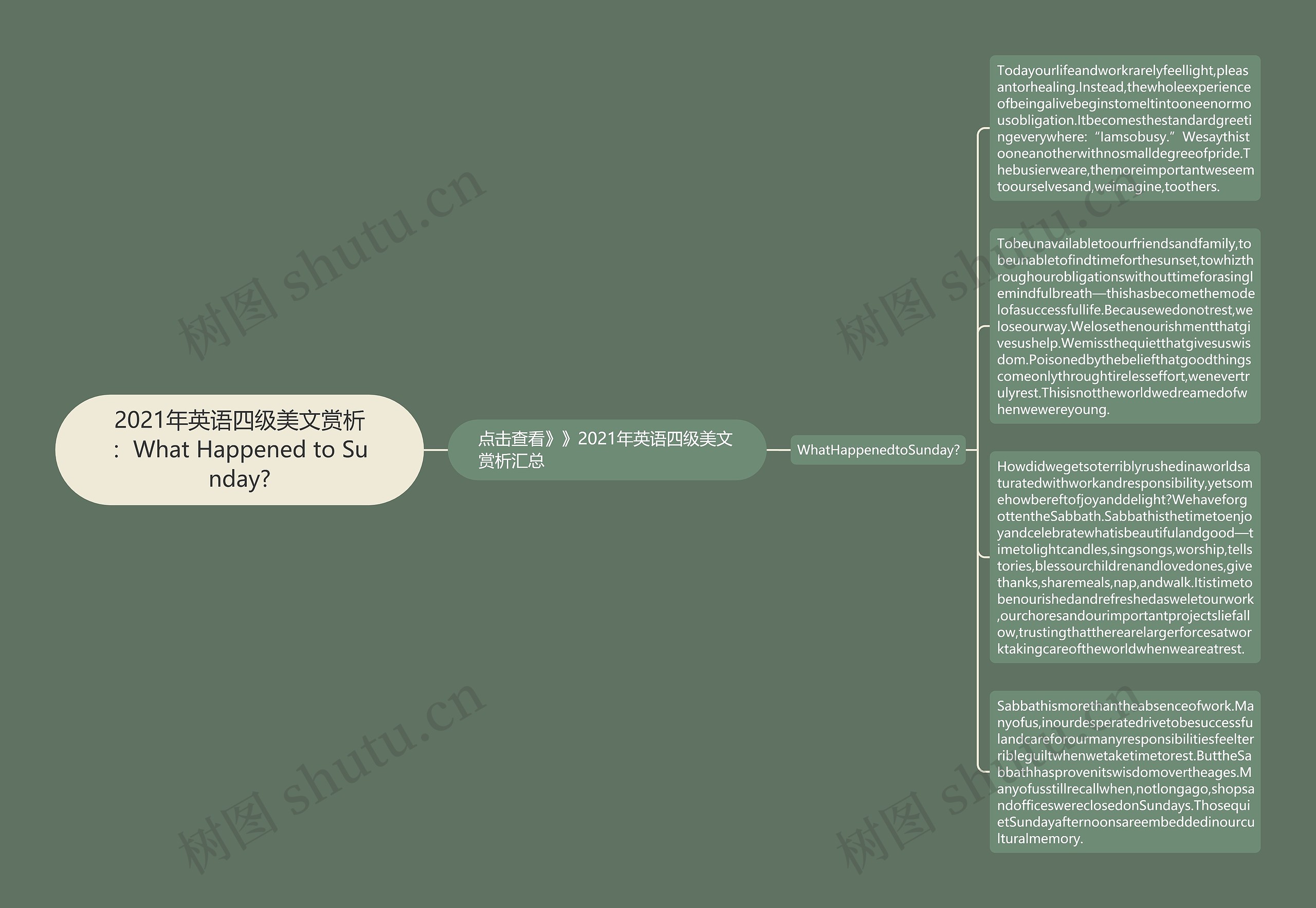 2021年英语四级美文赏析：What Happened to Sunday?思维导图