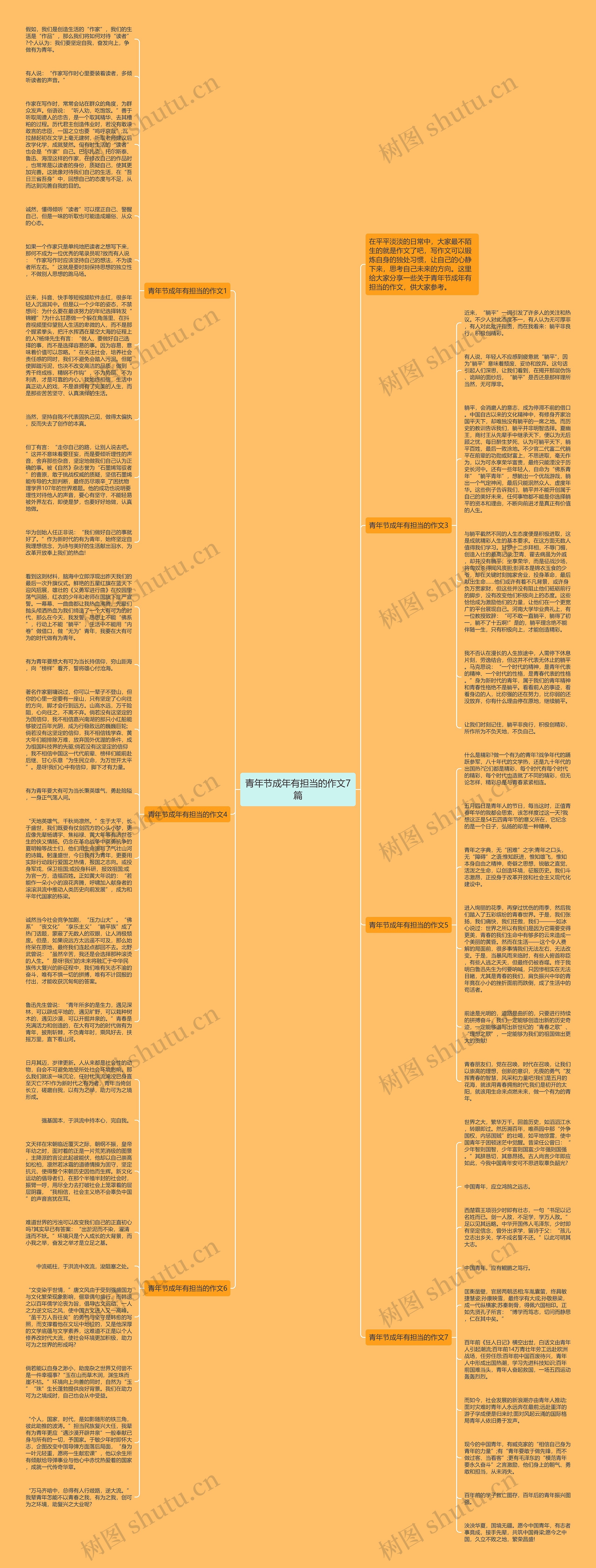 青年节成年有担当的作文7篇思维导图