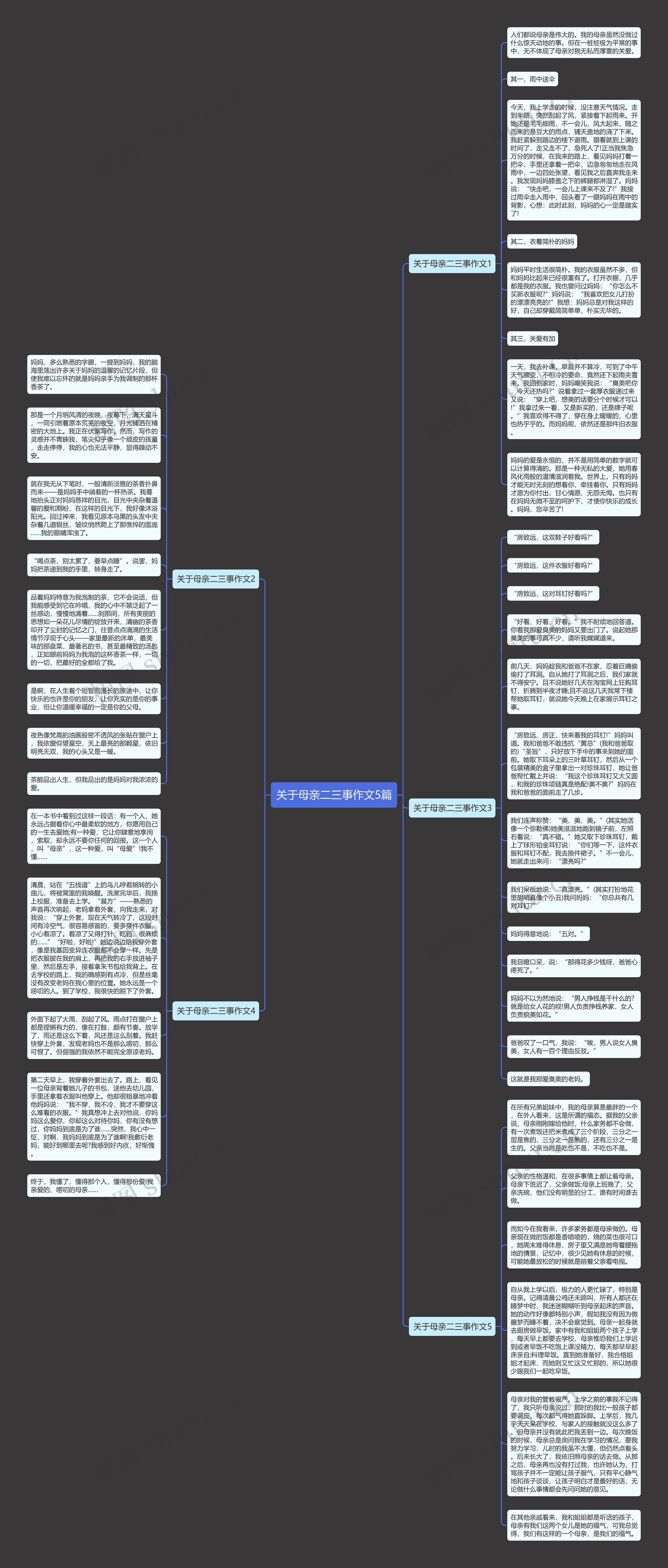 关于母亲二三事作文5篇