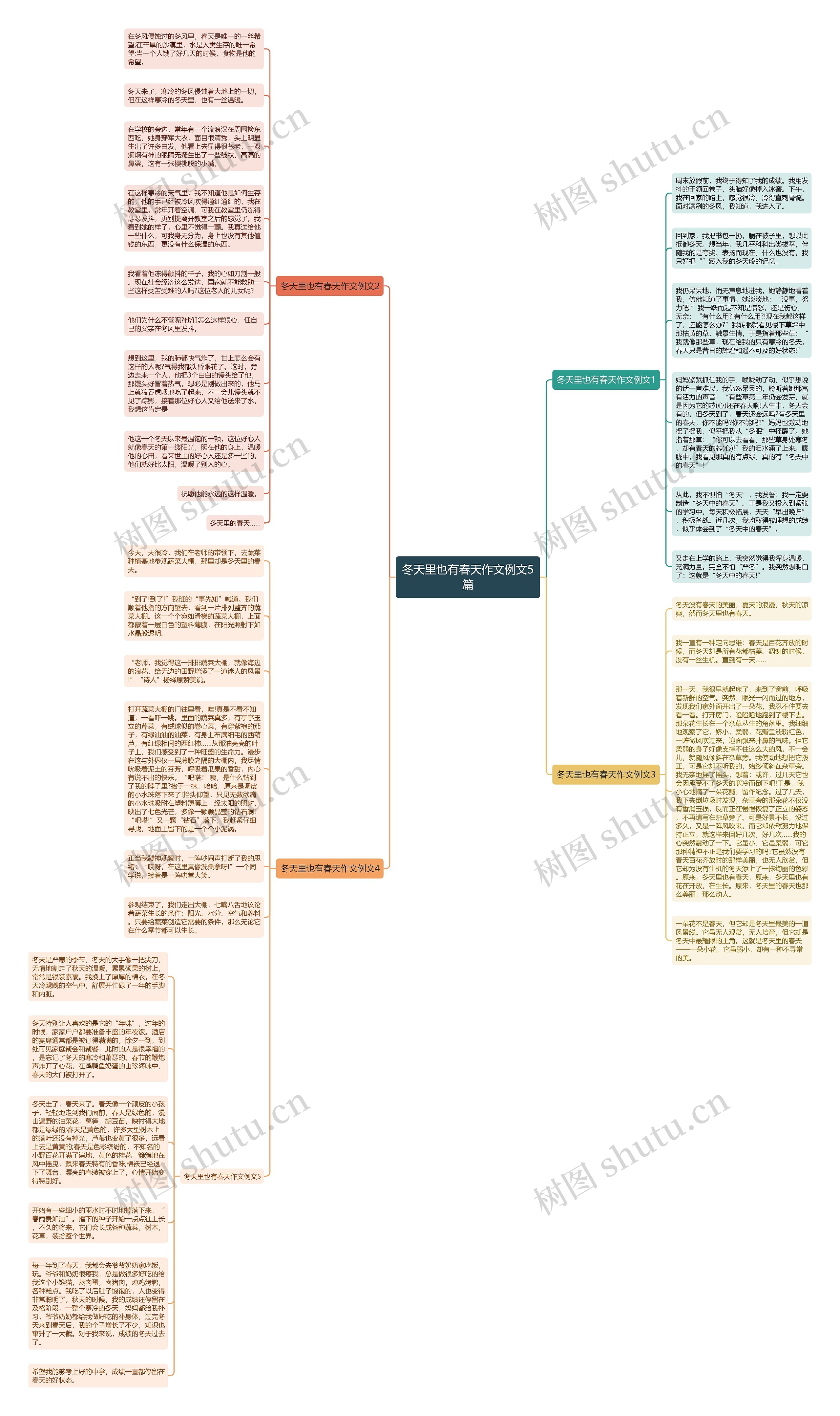 冬天里也有春天作文例文5篇思维导图