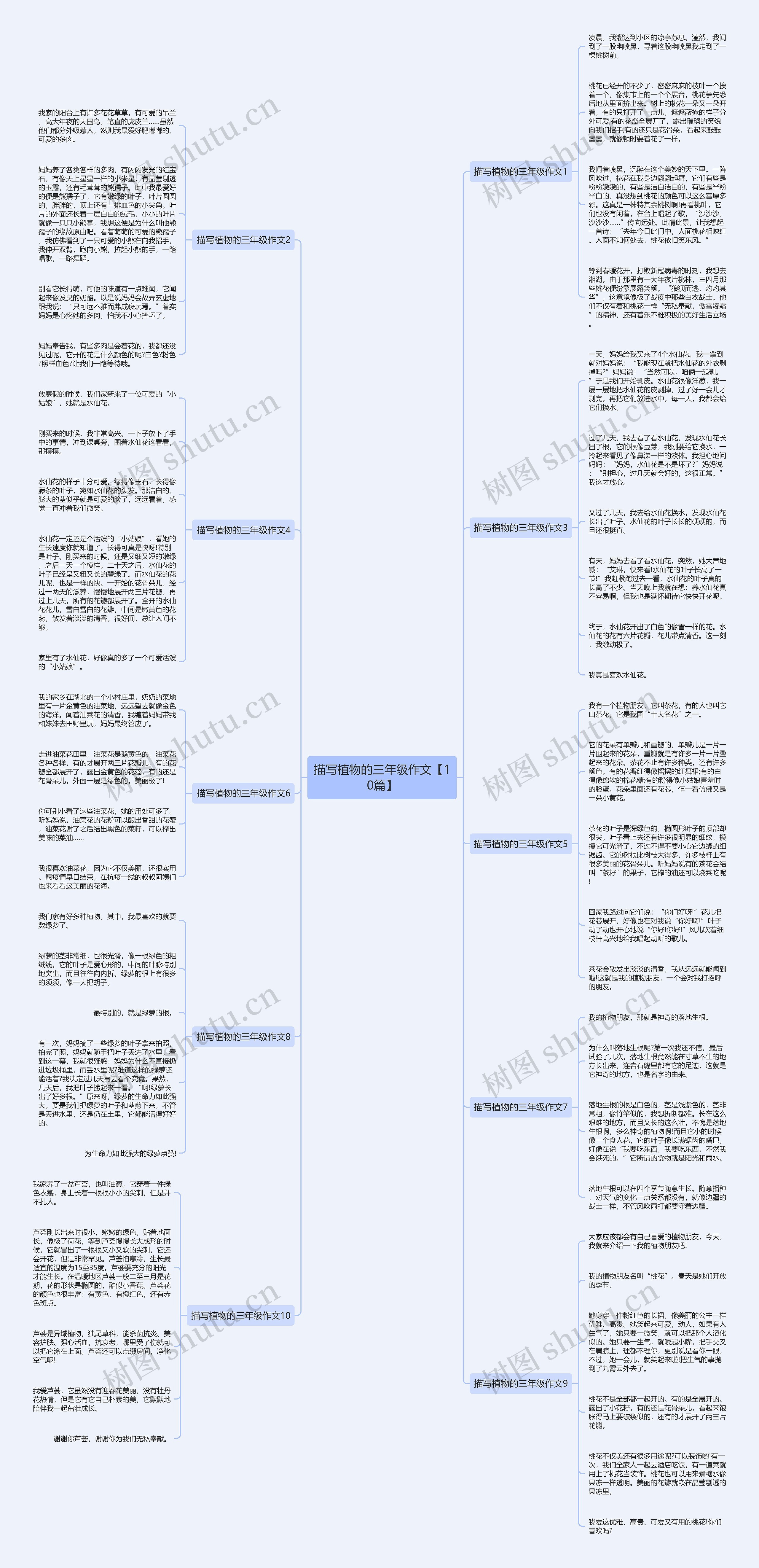 描写植物的三年级作文【10篇】思维导图